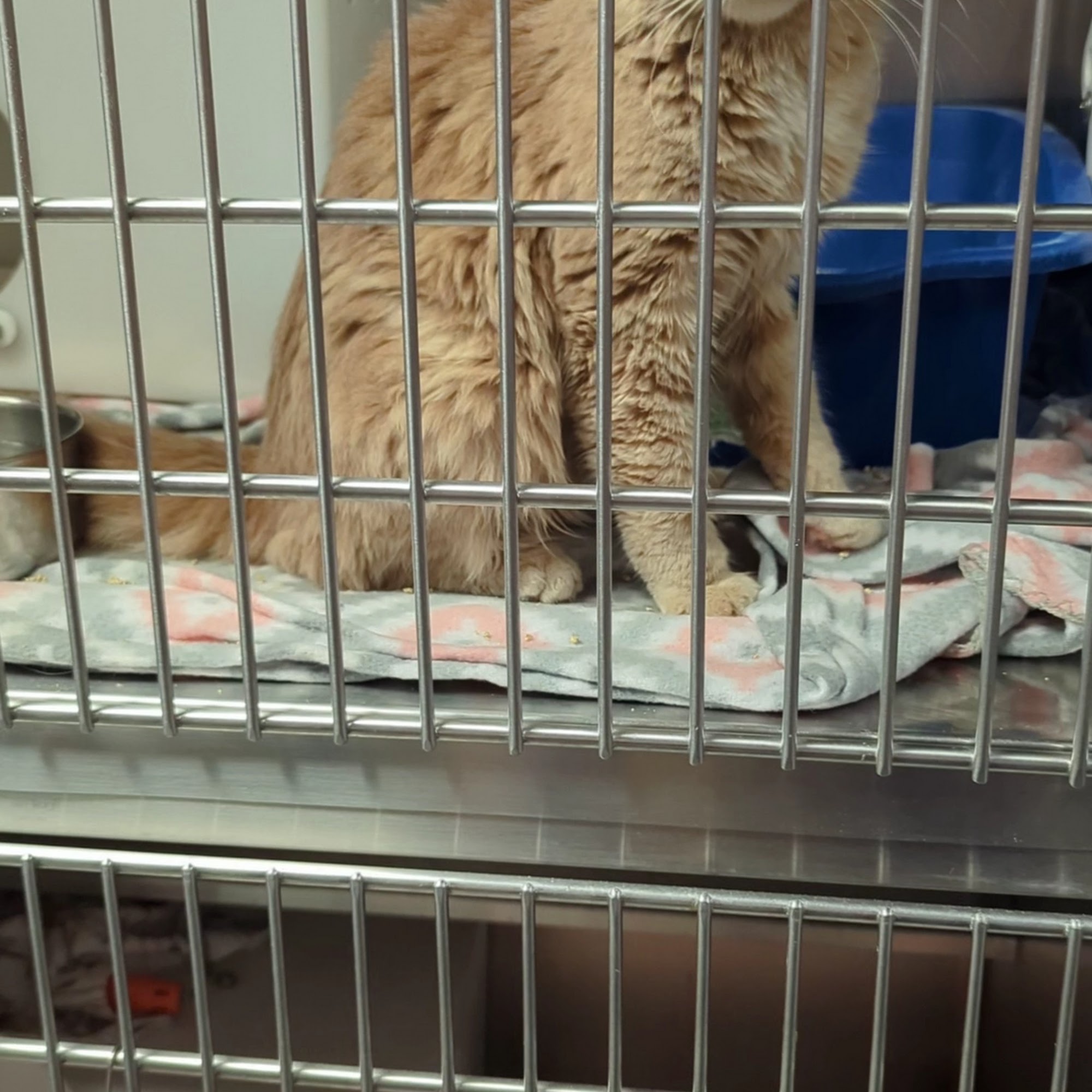 Wisconsin Humane Society Kenosha Campus Kenosha