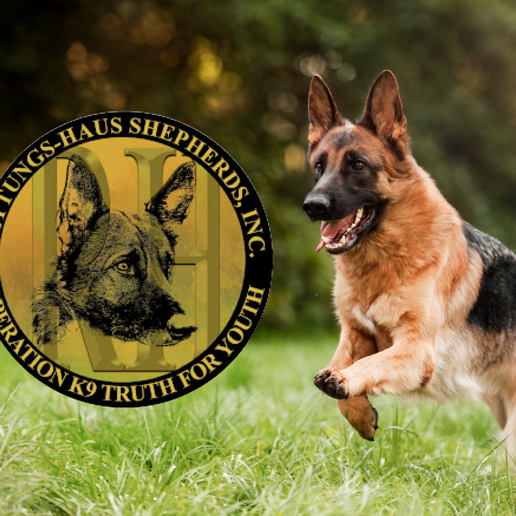 Rettungs-Haus Shepherds, Inc Kenosha