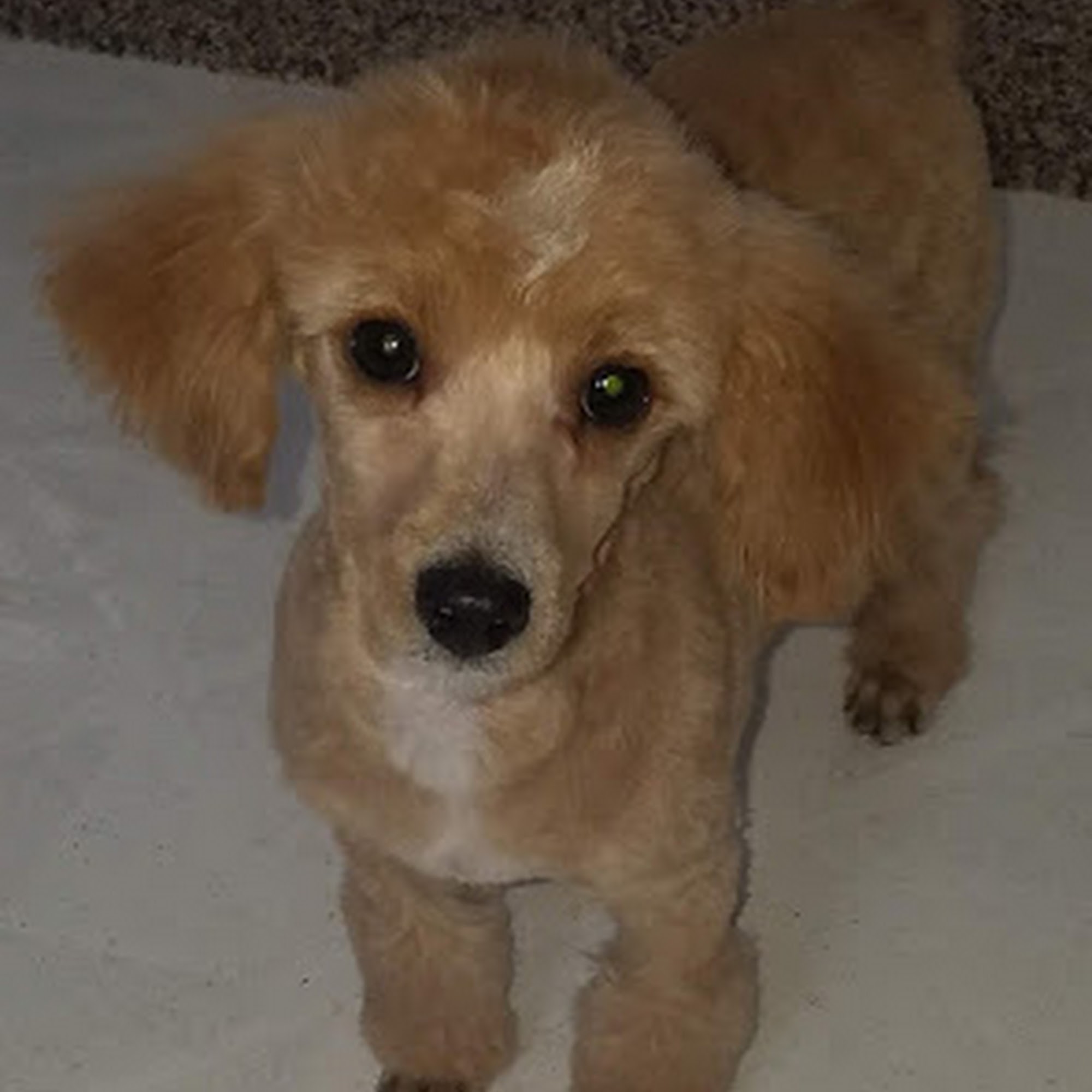 Dr James Ross Schilling Kewaunee