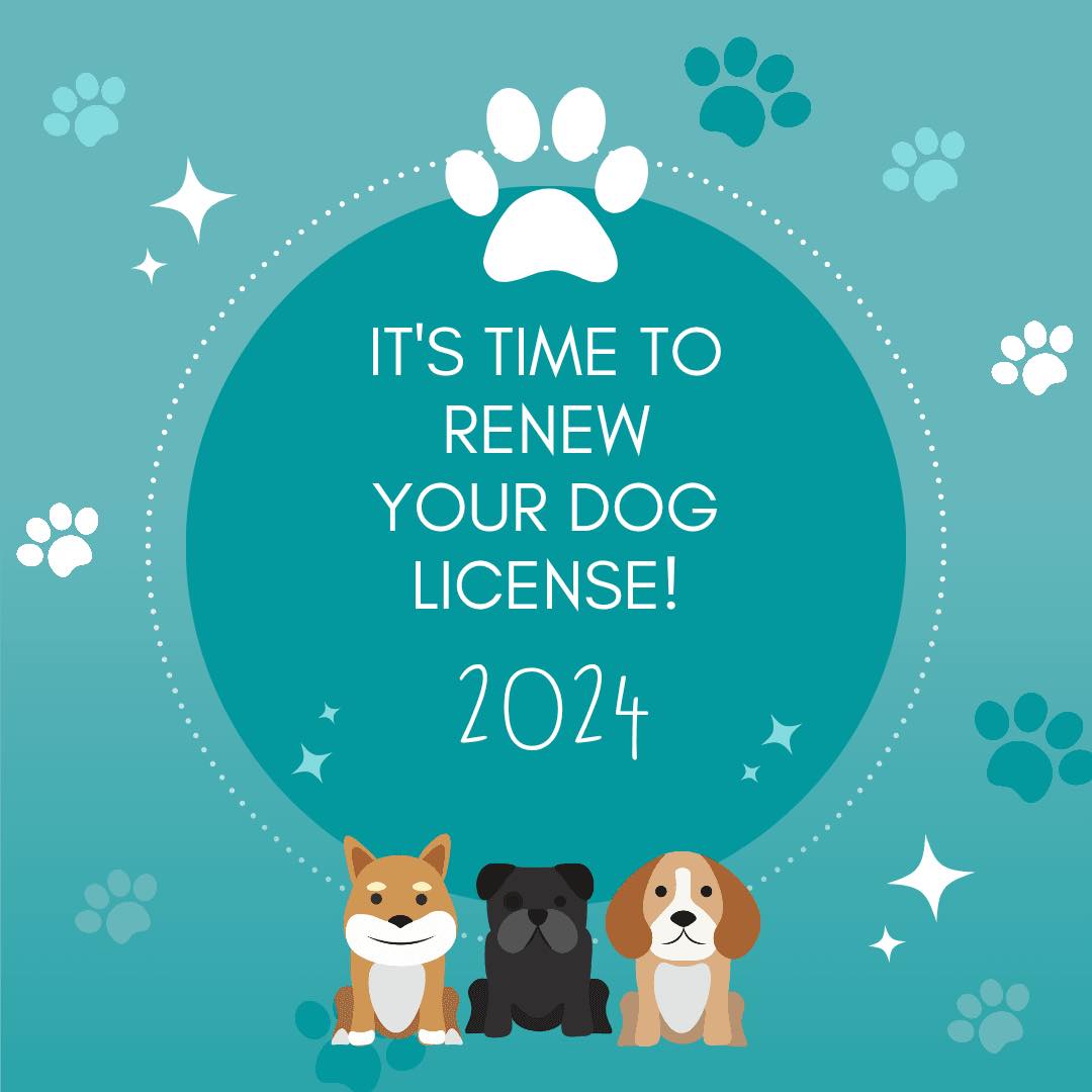 Country Clippers E2015 Old Settlers Rd, Kewaunee Wisconsin 54216