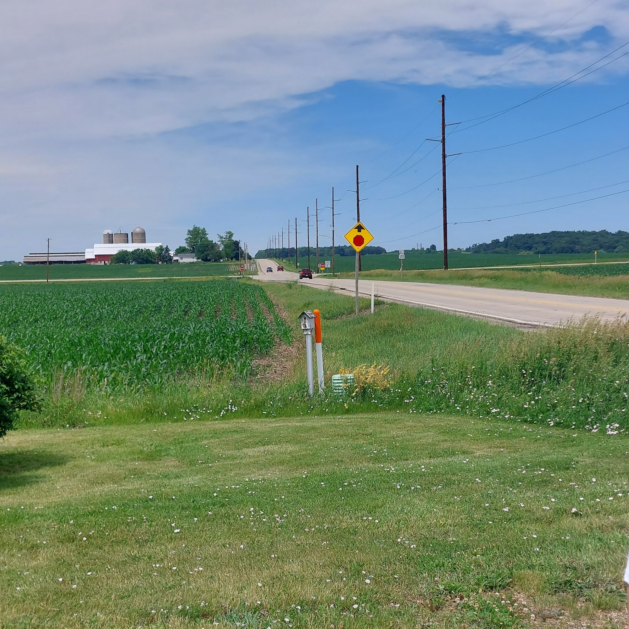 Lake Geneva Veterinary Clinic Lake Geneva