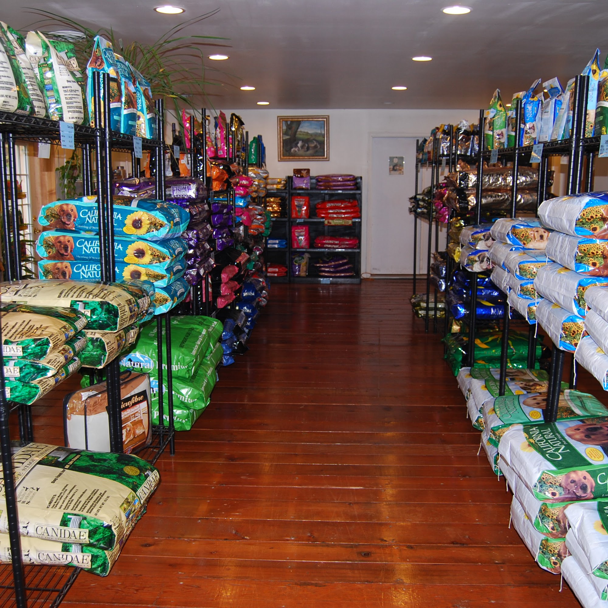 The Dog Spot Of Lake Geneva Lake Geneva