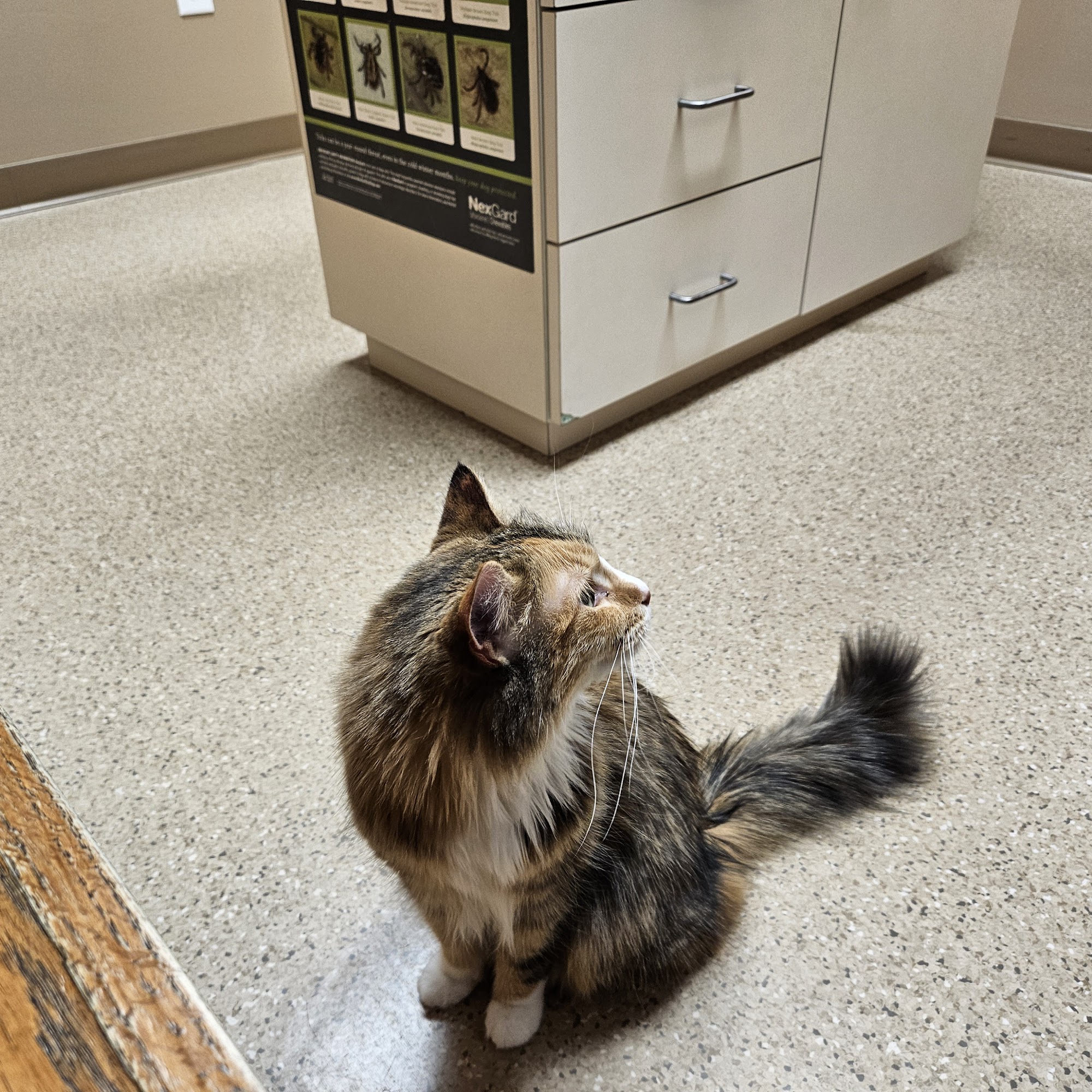 Tyranena Veterinary Clinic Lake Mills