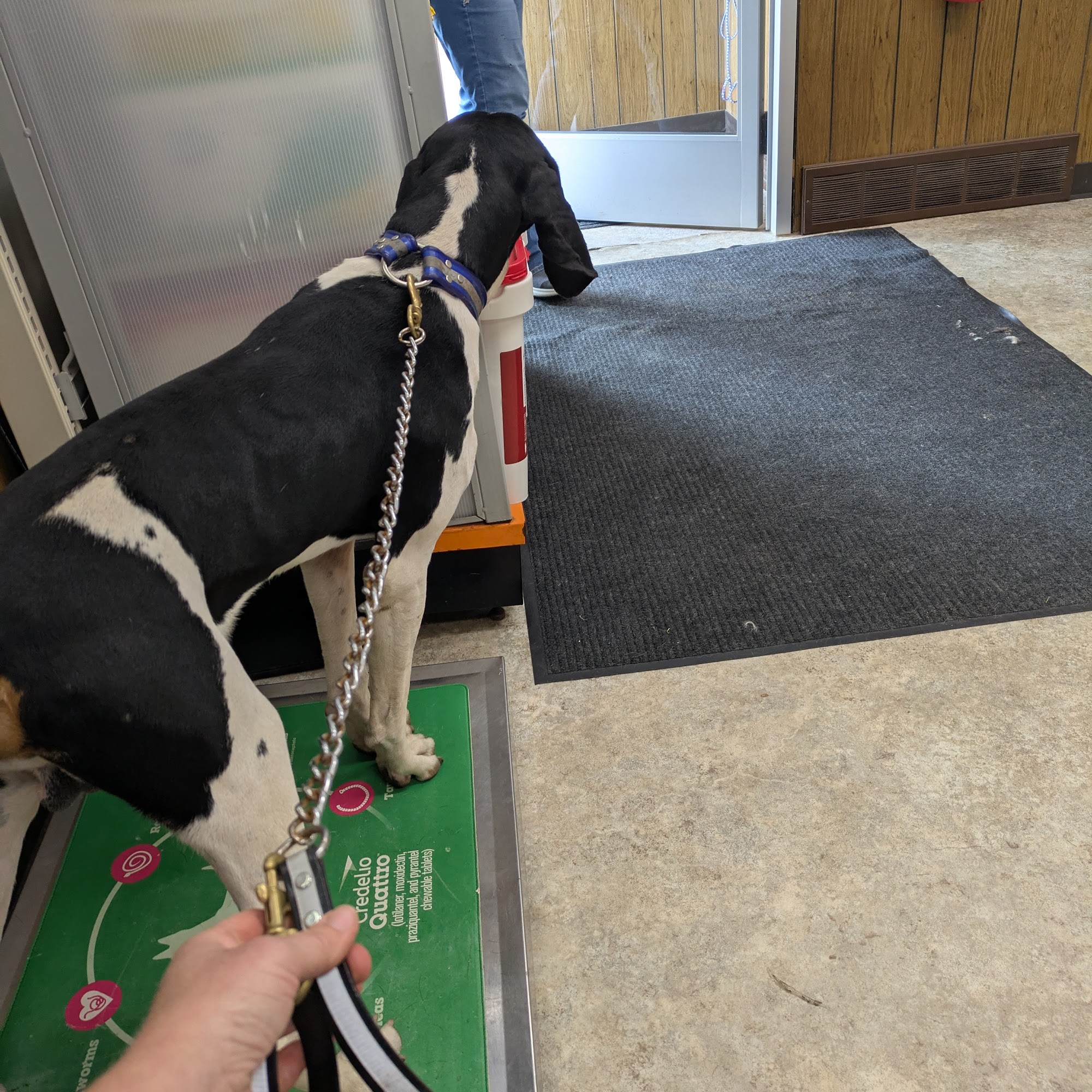 Grant County Veterinary Services Lancaster