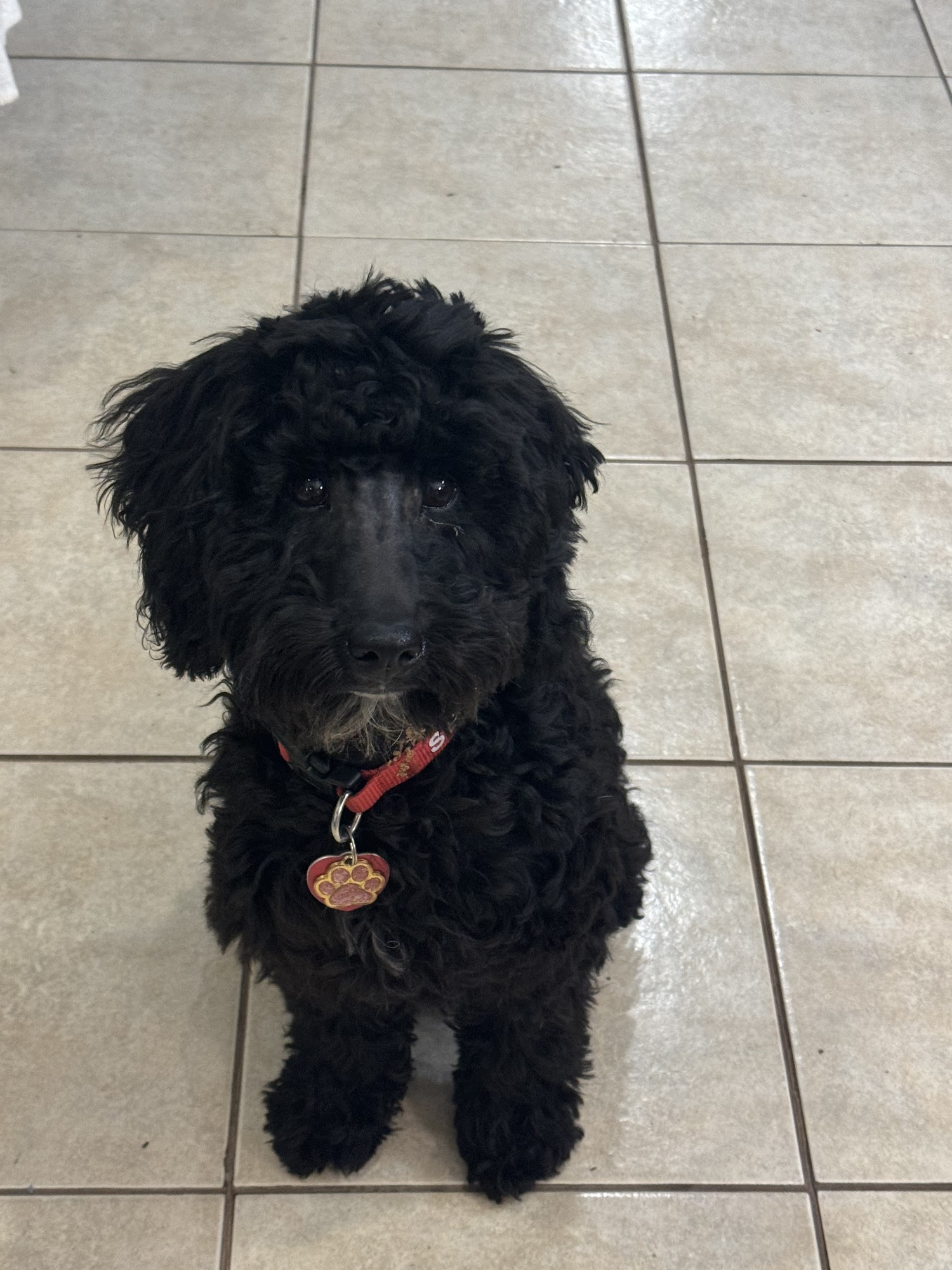 Grant County Veterinary Services Lancaster