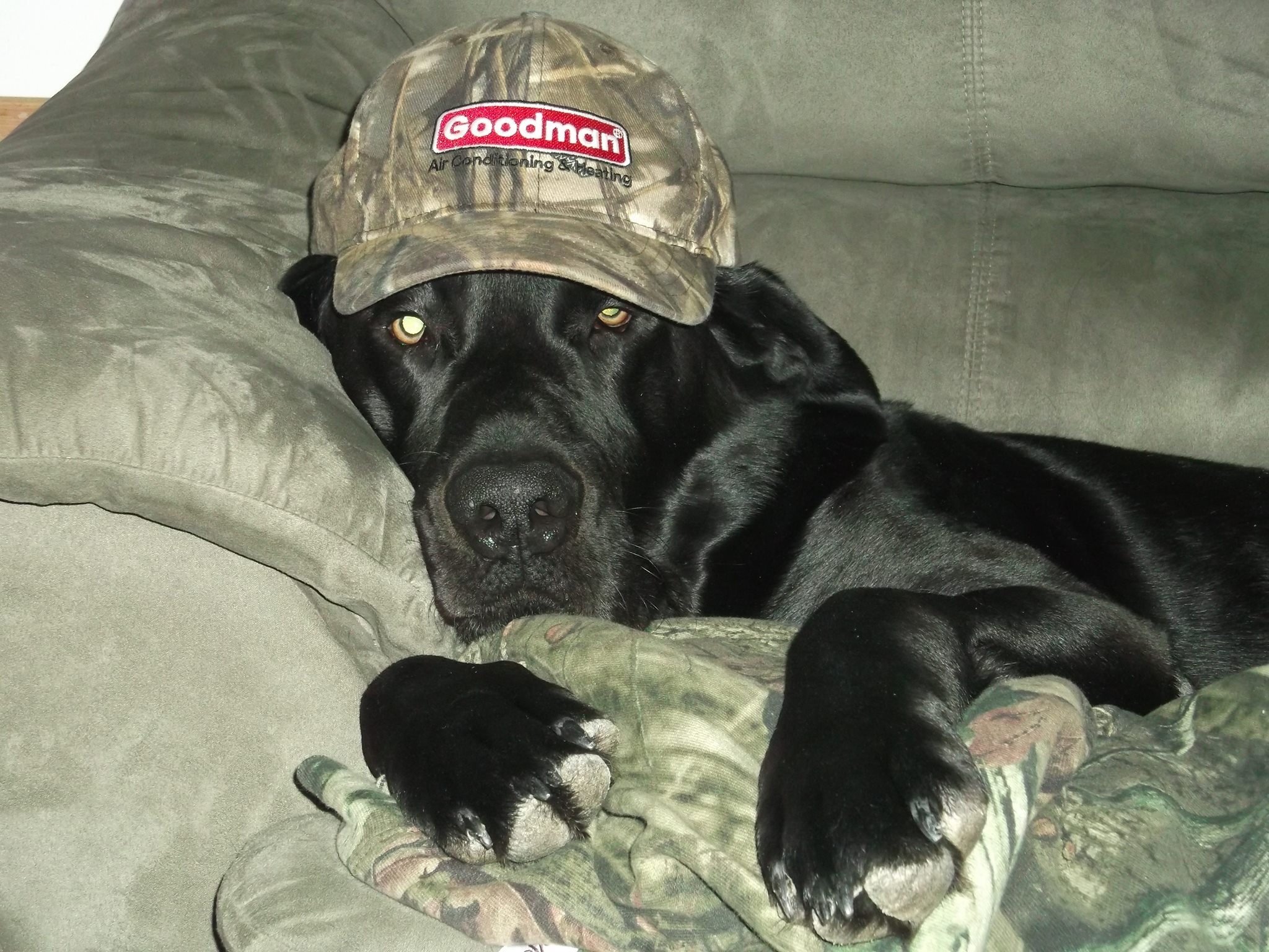 Duckie's Heating & Air Conditioning