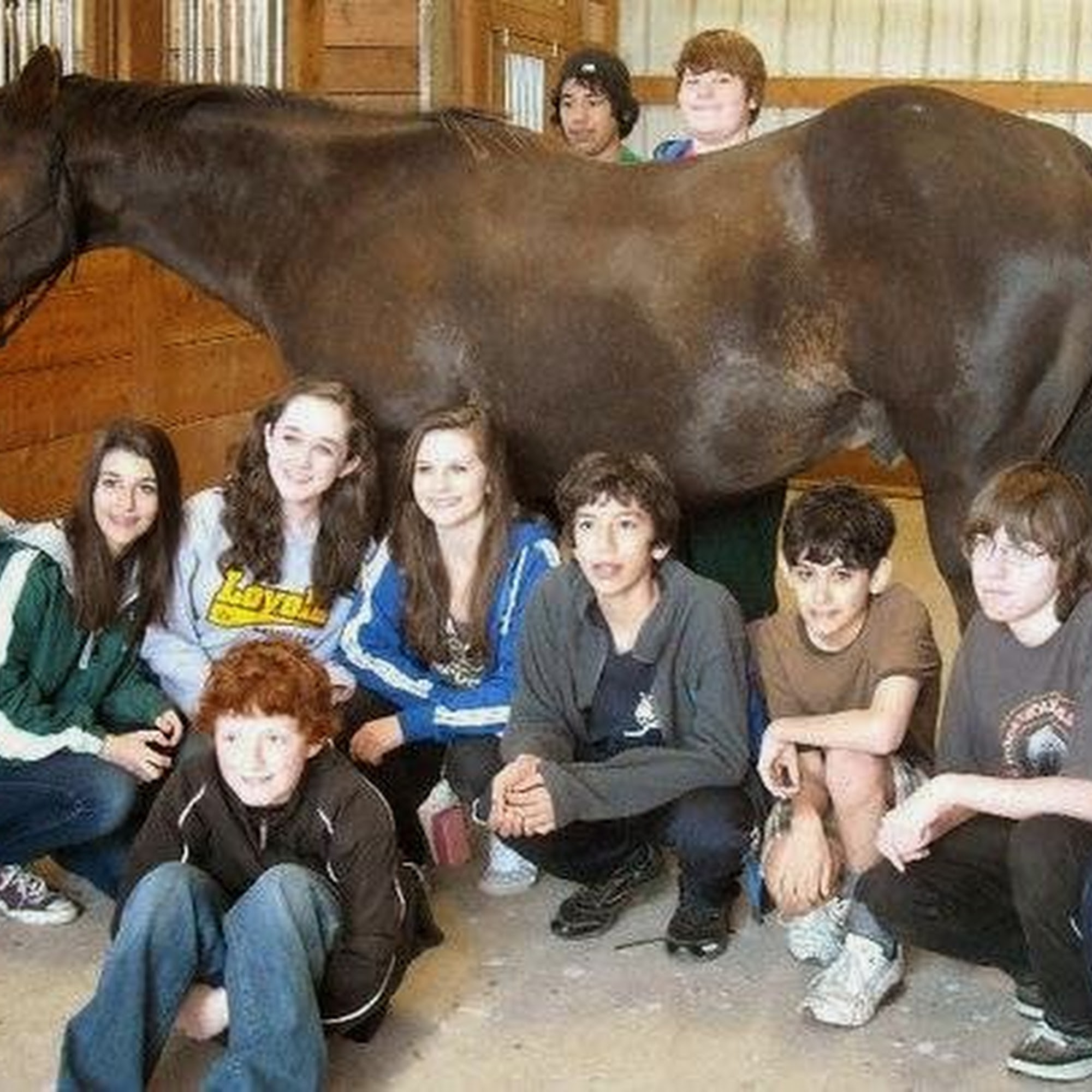 Hoof and Paw Veterinary Care LLC Loyal