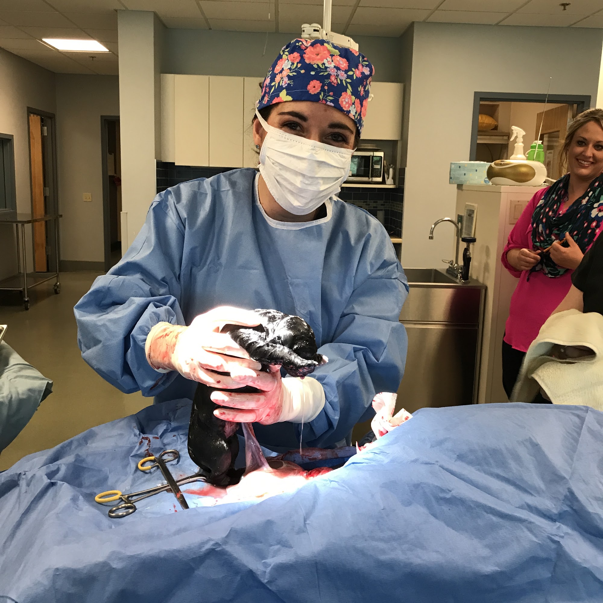 Sondel Family Veterinary Clinic Madison