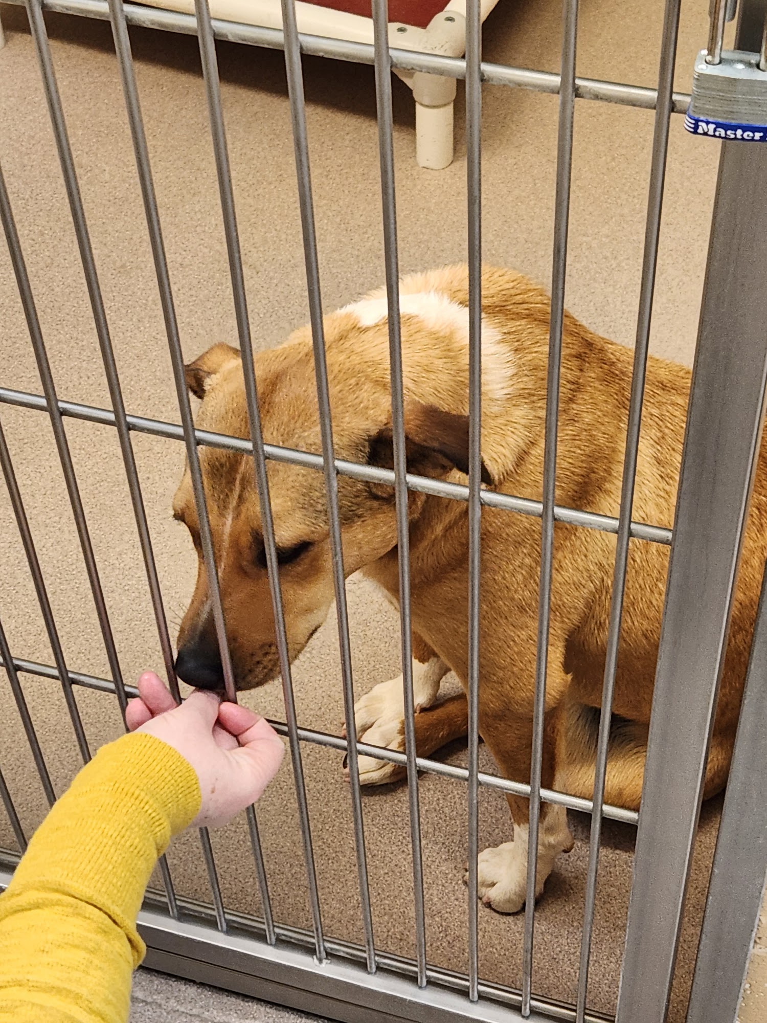 Dane County Humane Society Madison