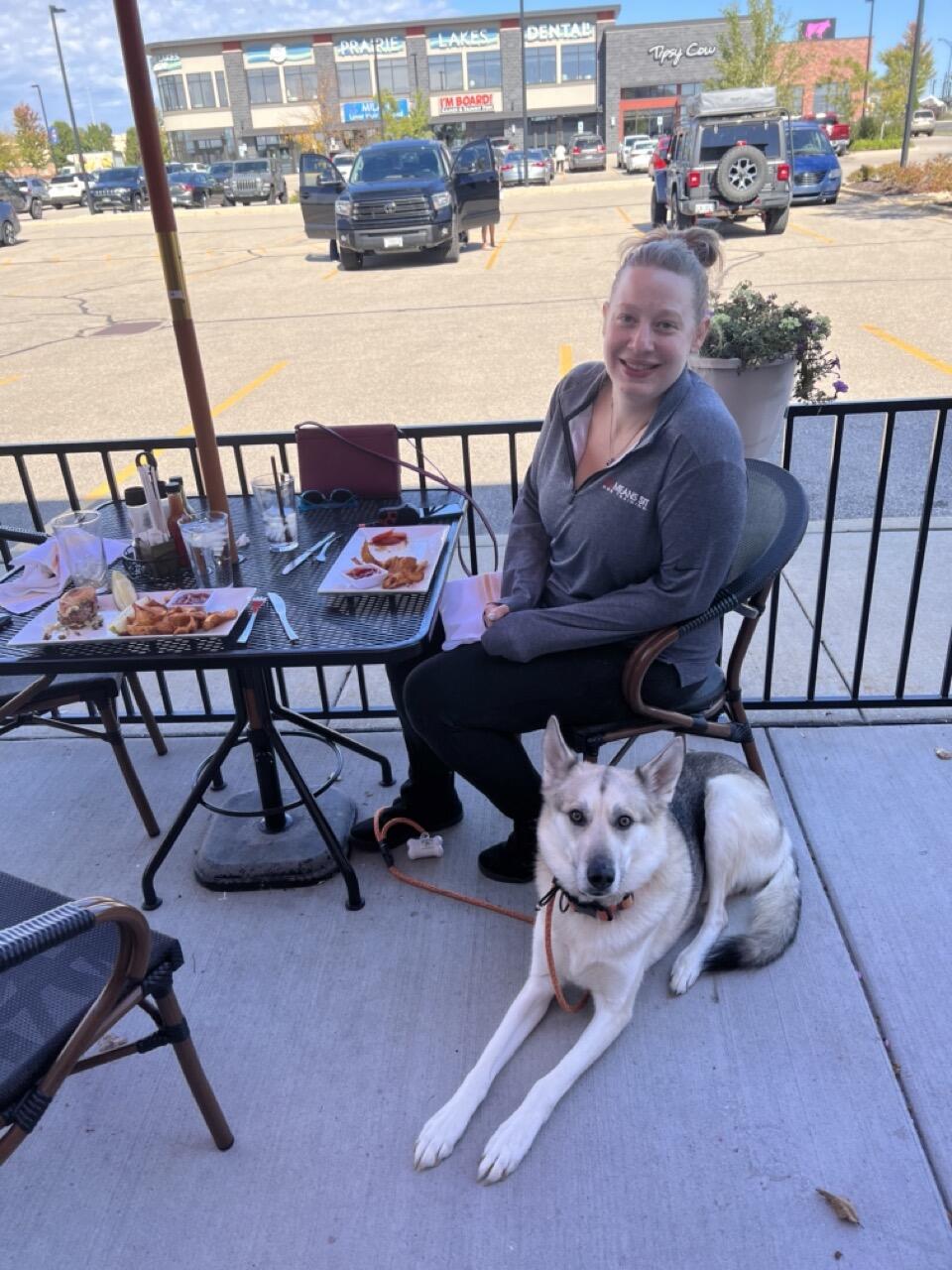 Sit Means Sit Dog Training Madison