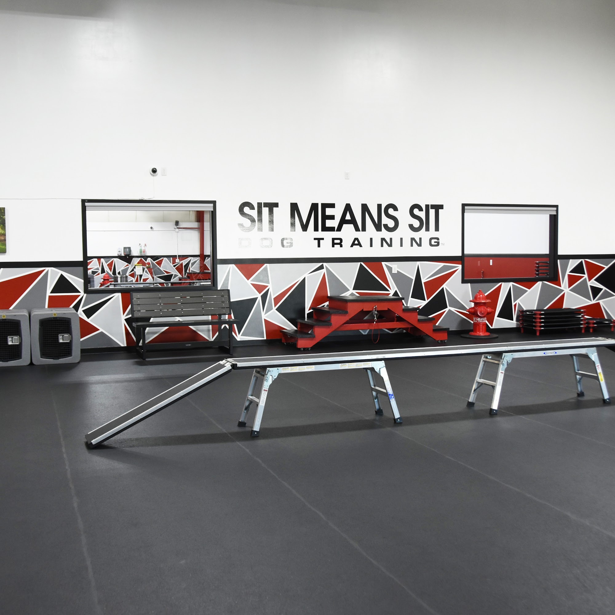 Sit Means Sit Dog Training Madison