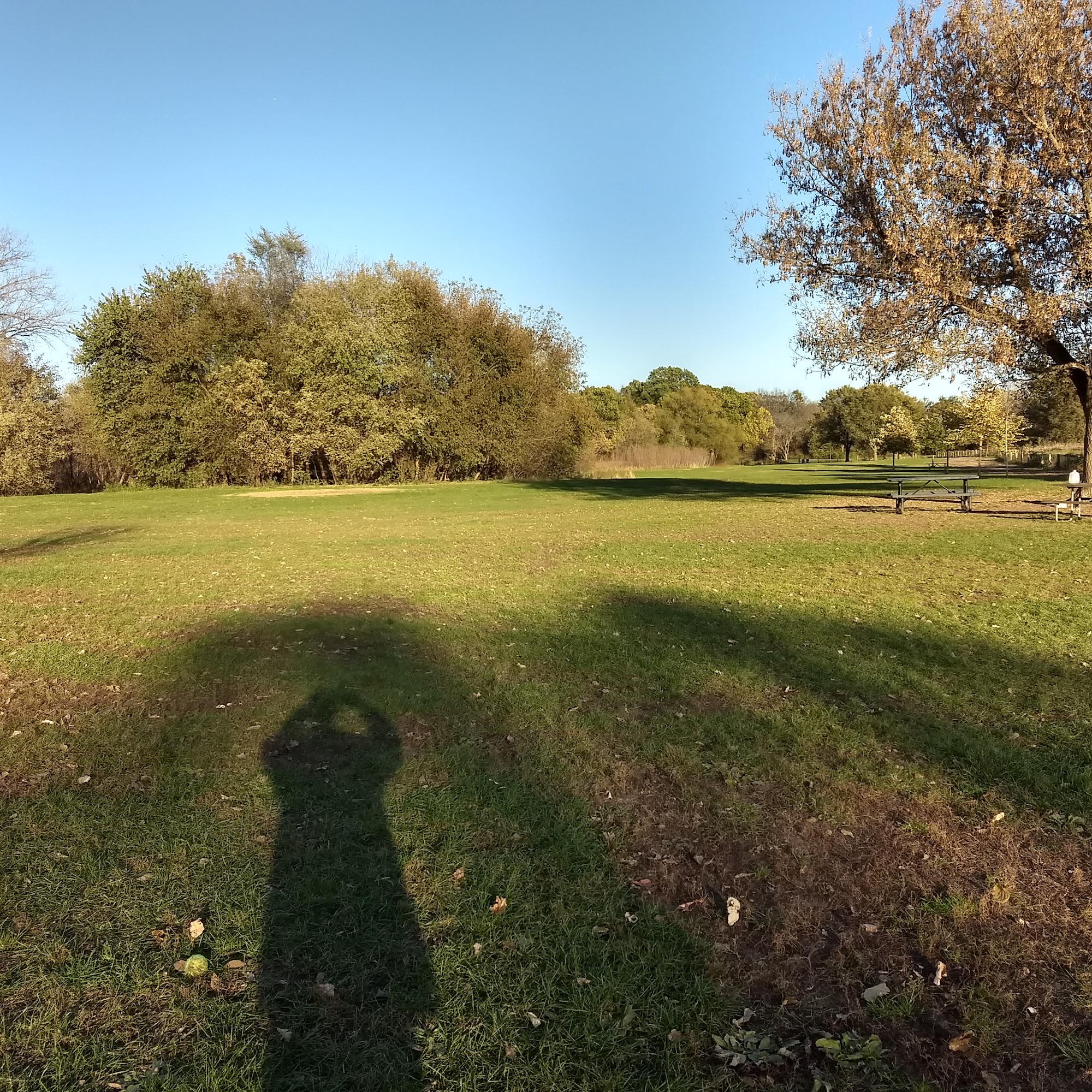 Warner Park Dog Park Madison