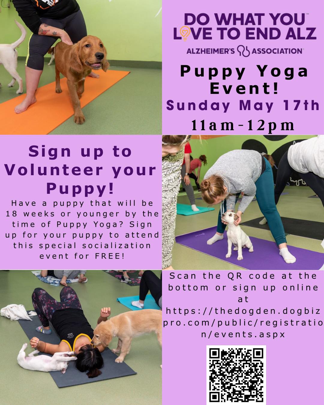 The Puppy Den Madison