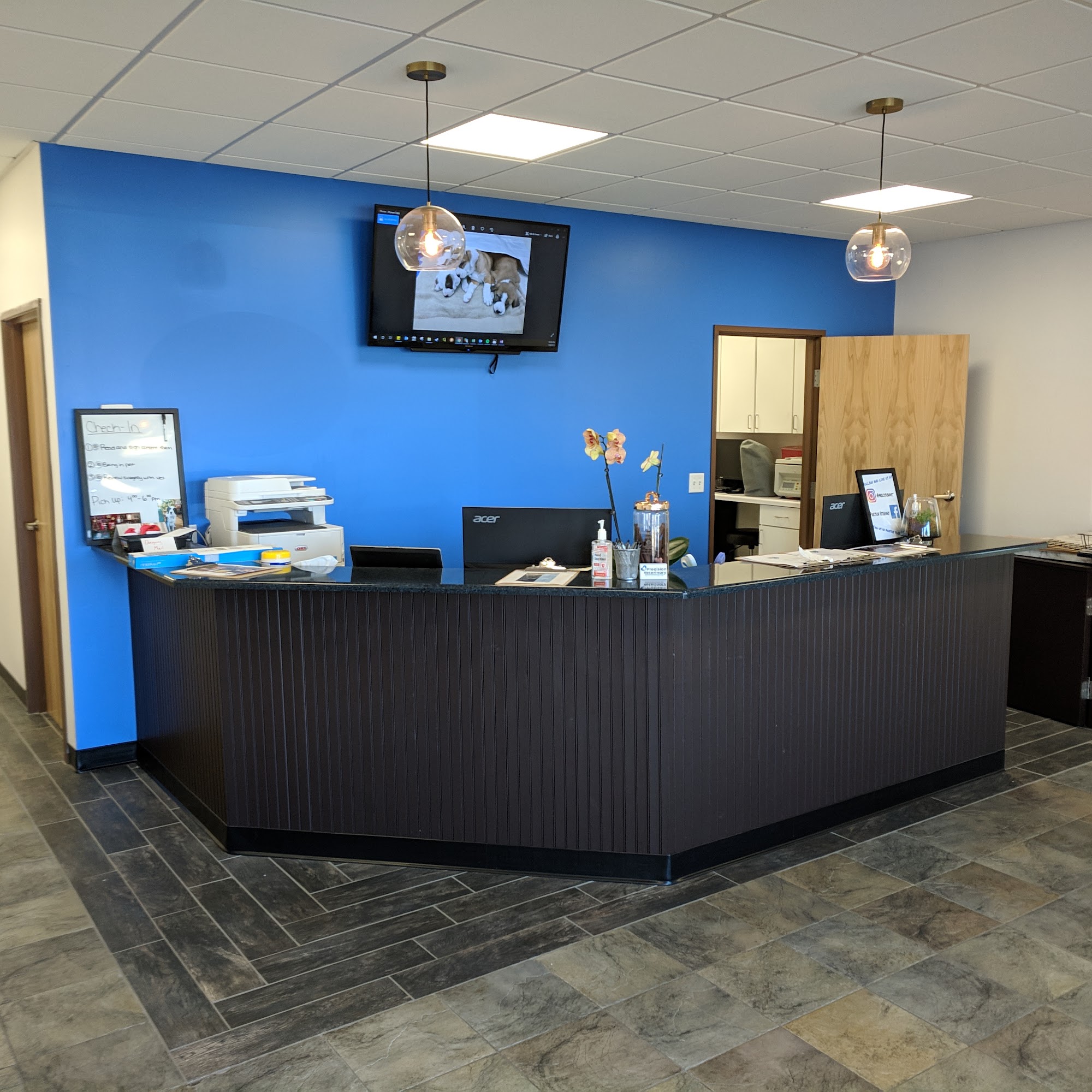 Precision Veterinary Madison