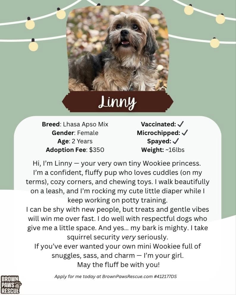 Precision Veterinary Madison