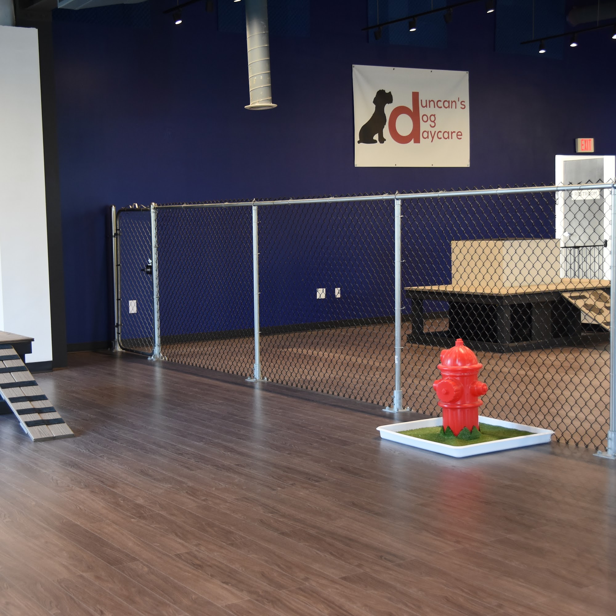 Duncan's Dog Daycare Madison