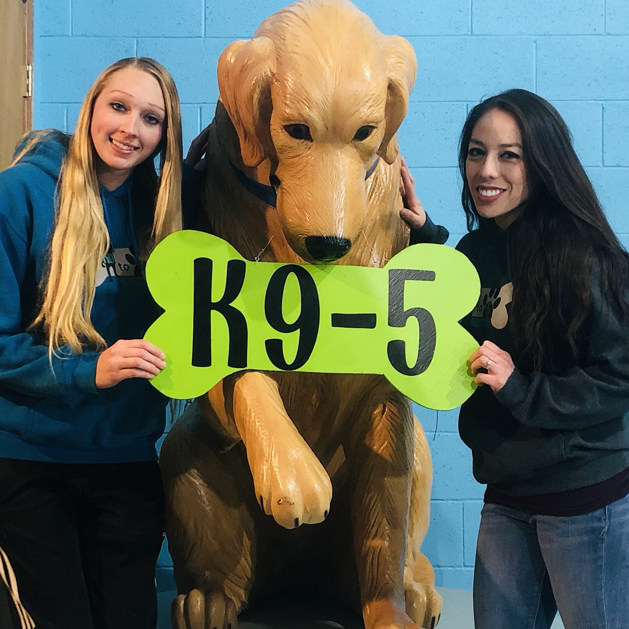 K9-5 Dog Daycare Madison