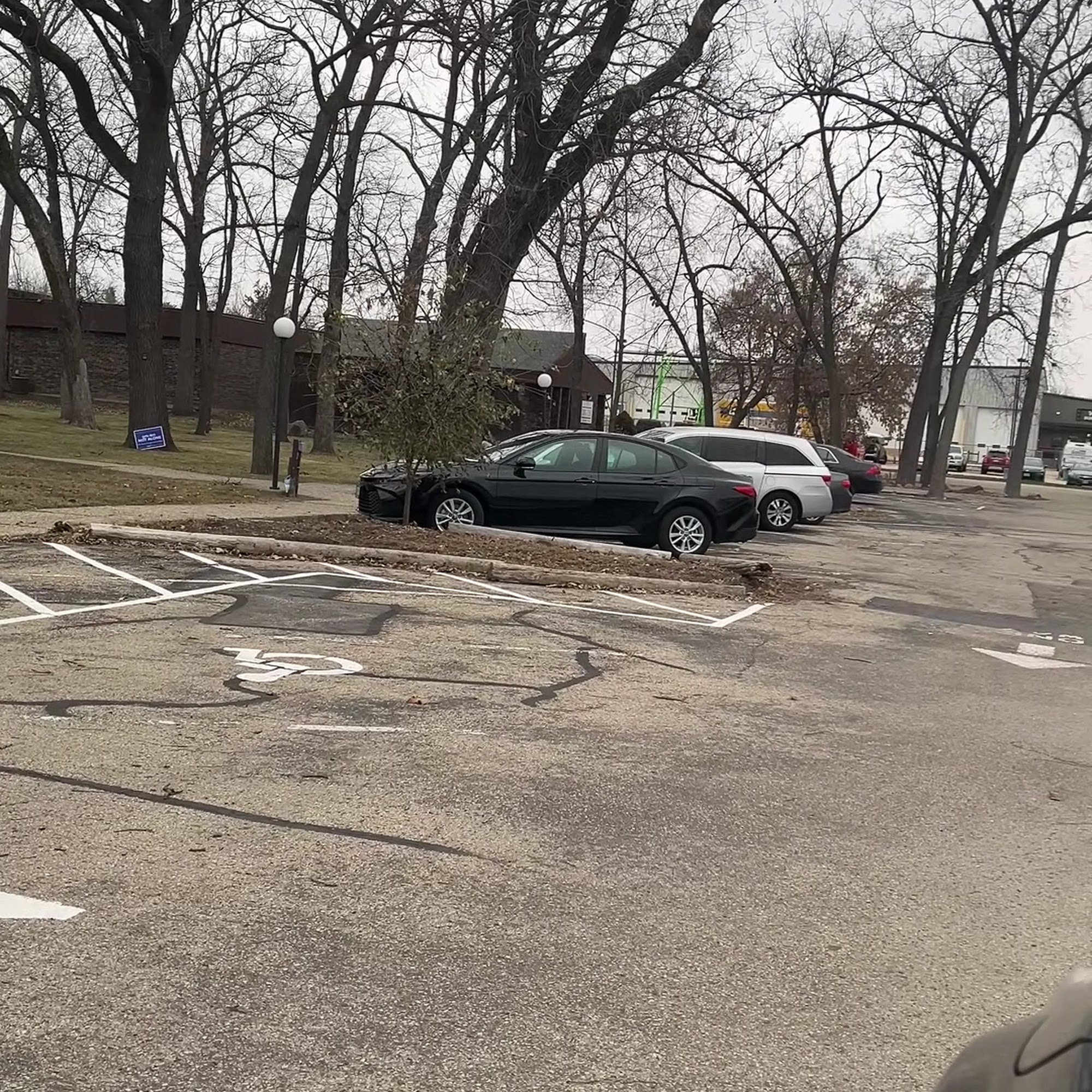 Holistic Veterinary Options Madison