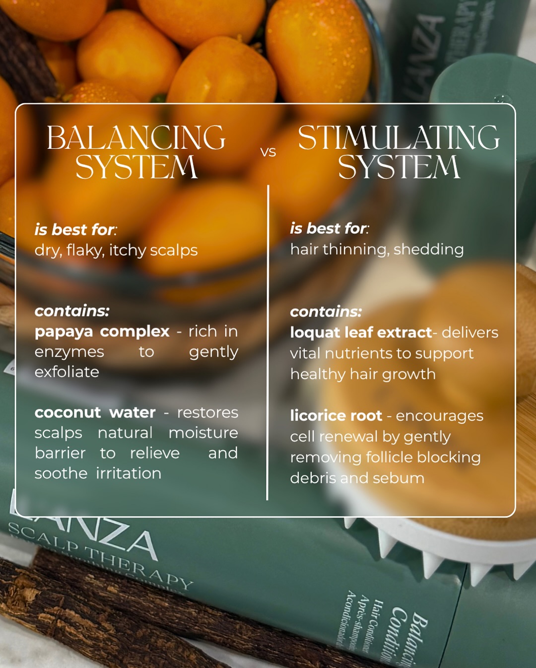 Rooted Culture Salon 1016 E Washington Ave, Madison Wisconsin 53703