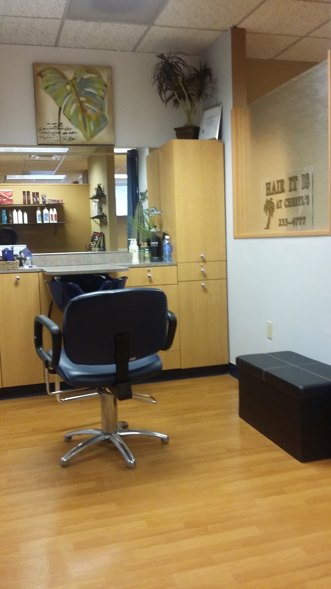 Hair It Is at Cheryl's 150 Bella Vista Dr, Madison Wisconsin 53717