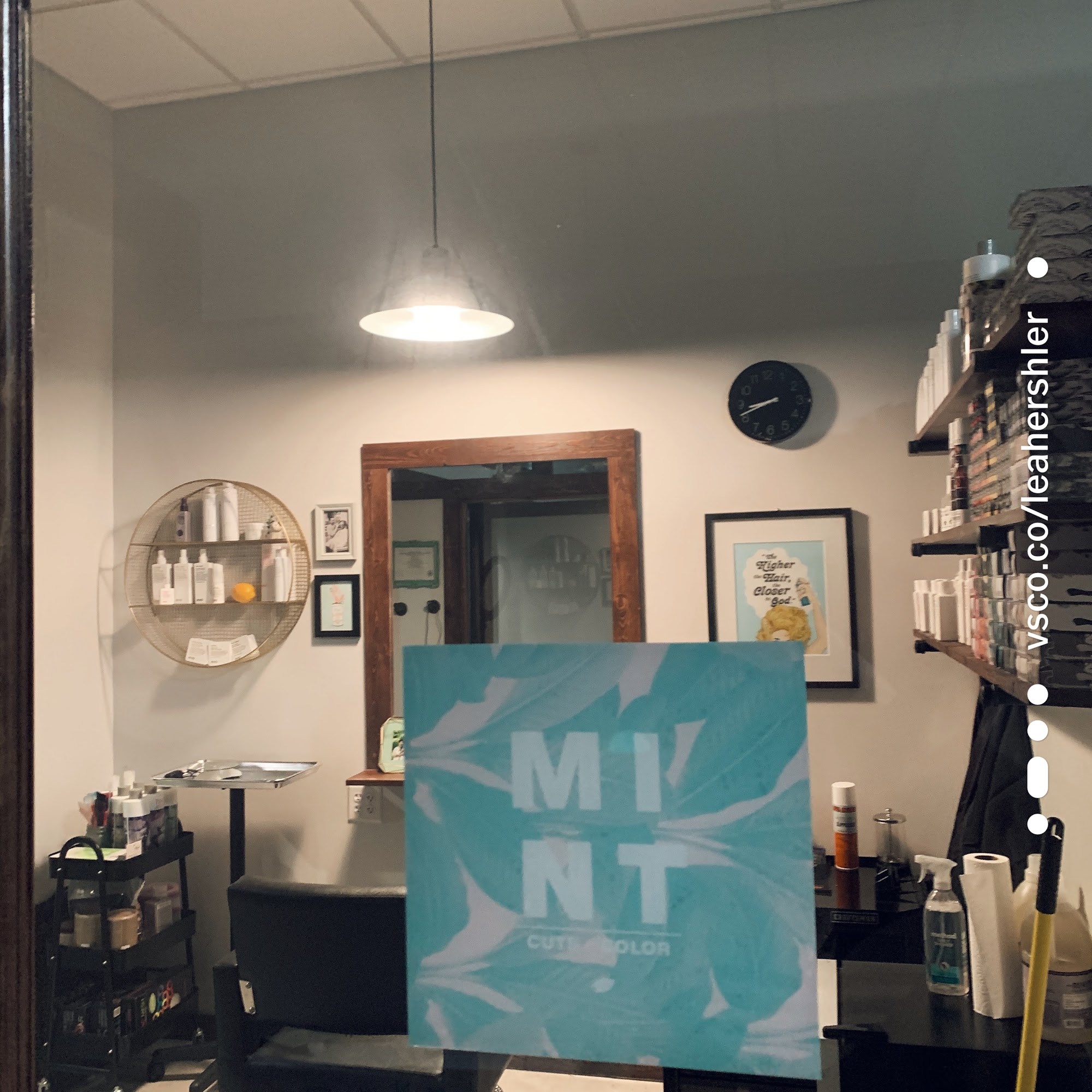 Mint Cuts + Color IN Pony Boy Salon 812 E Dayton St Suite 208, Madison Wisconsin 53703