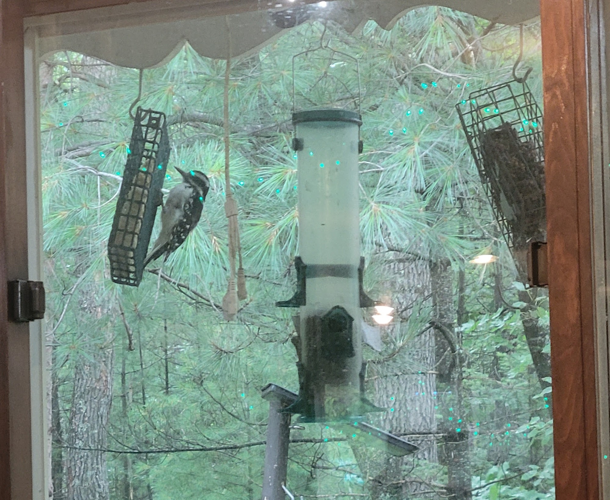 Some Nerve Brewing Company Manitowish Waters