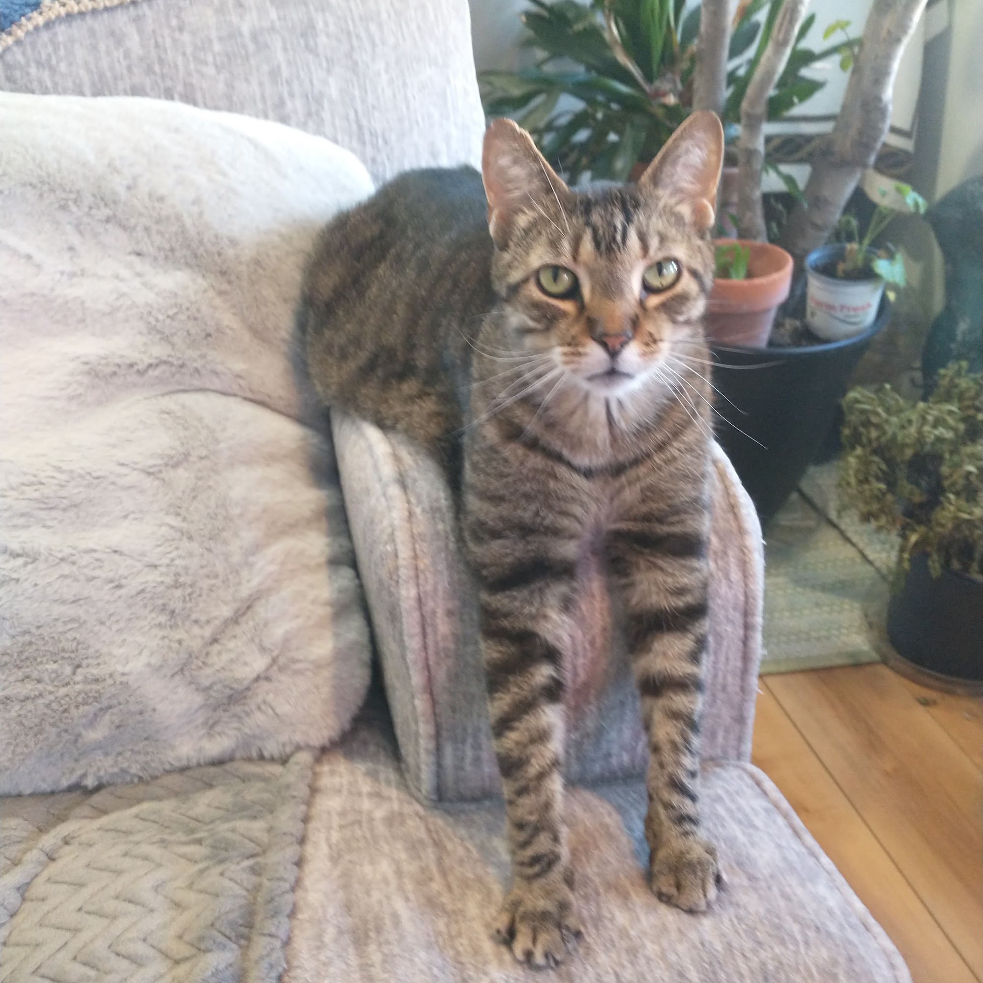 Port Cities Animal Hospital Manitowoc