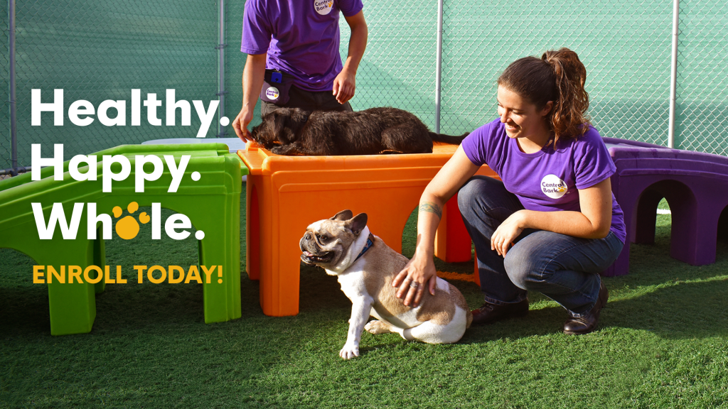 Central Bark Manitowoc Manitowoc