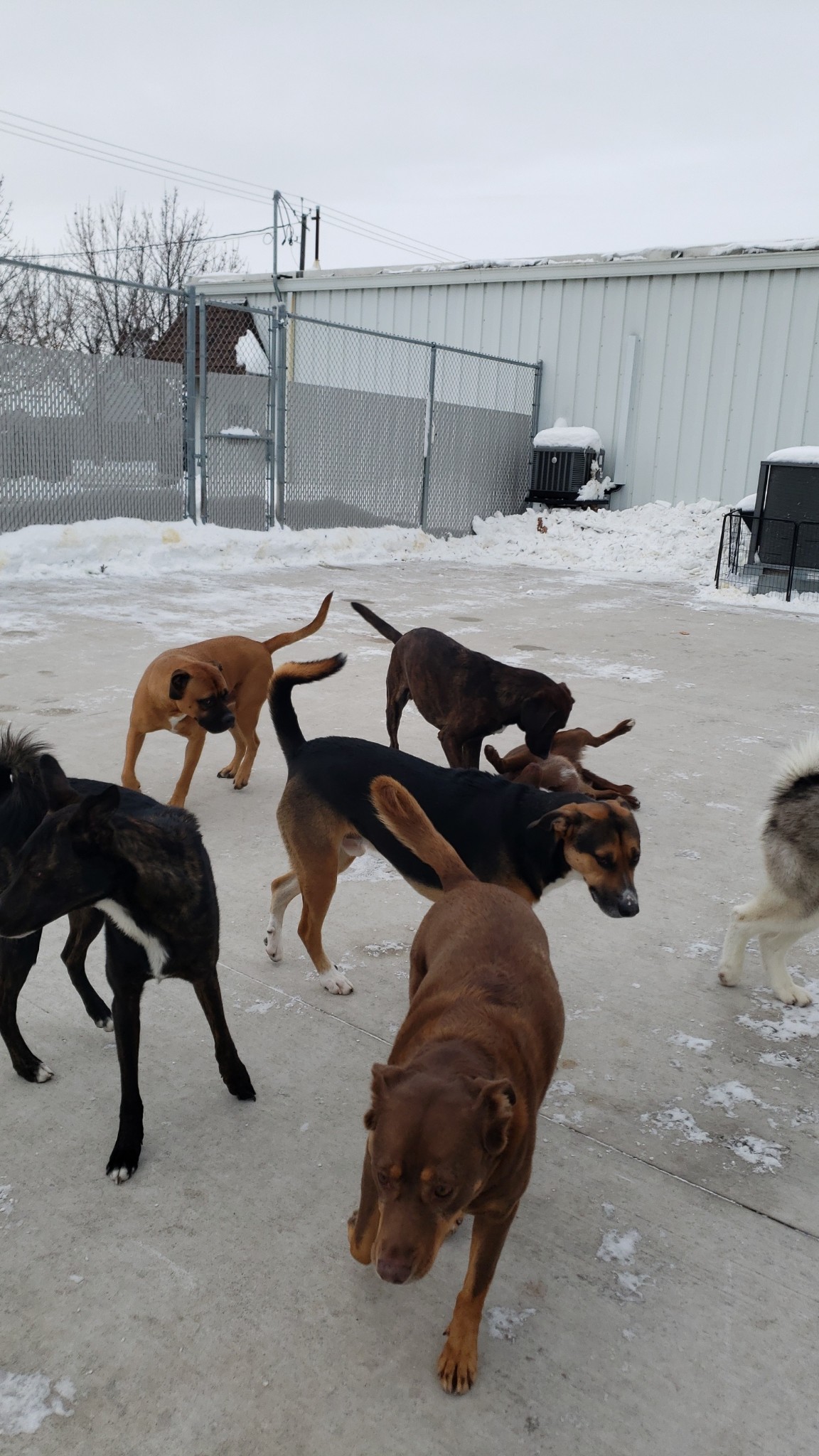 Off-Leash Manners LLC Manitowoc