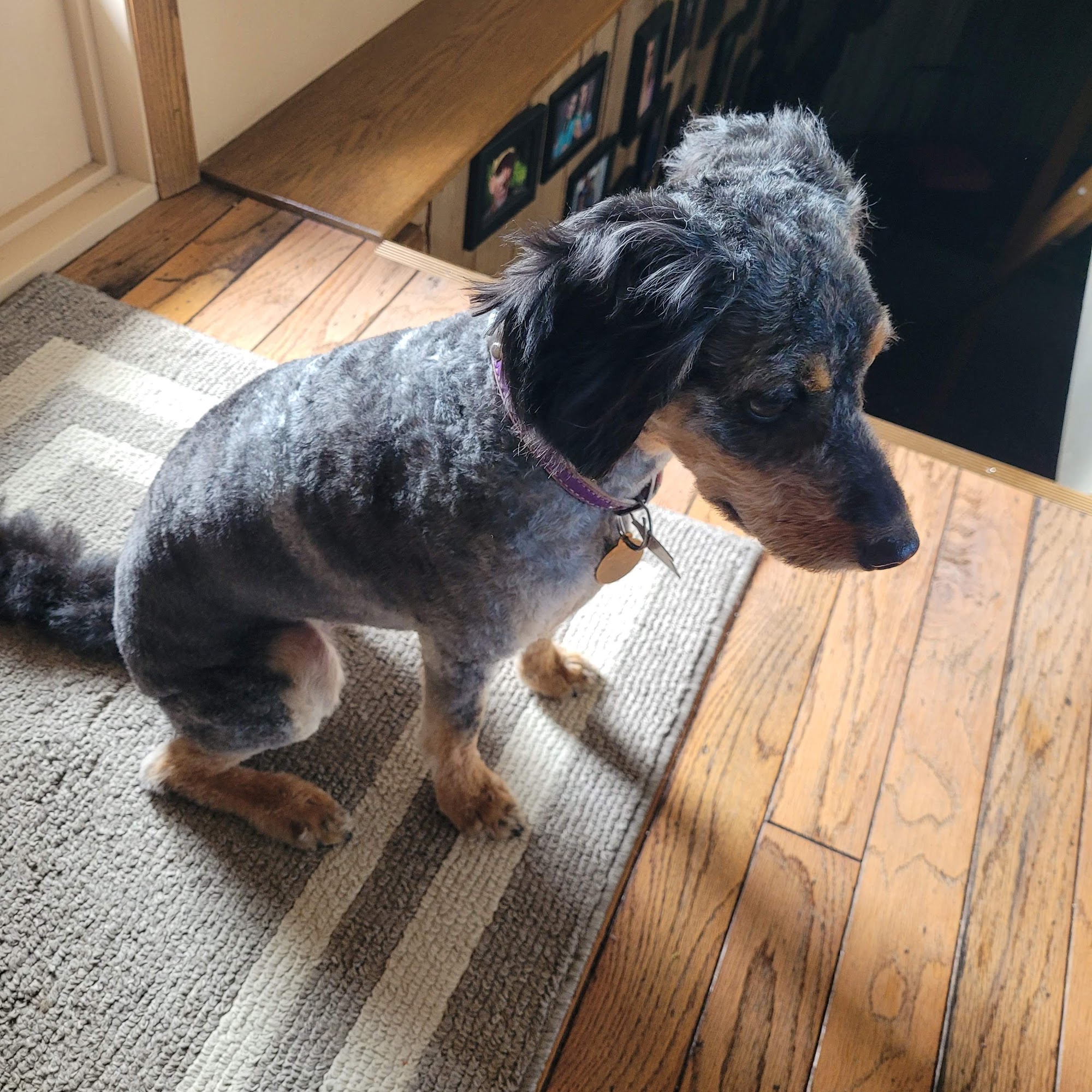 Grooming by Kassie Manitowoc