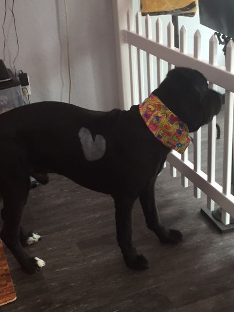 Tina's Tangled Tails Marinette
