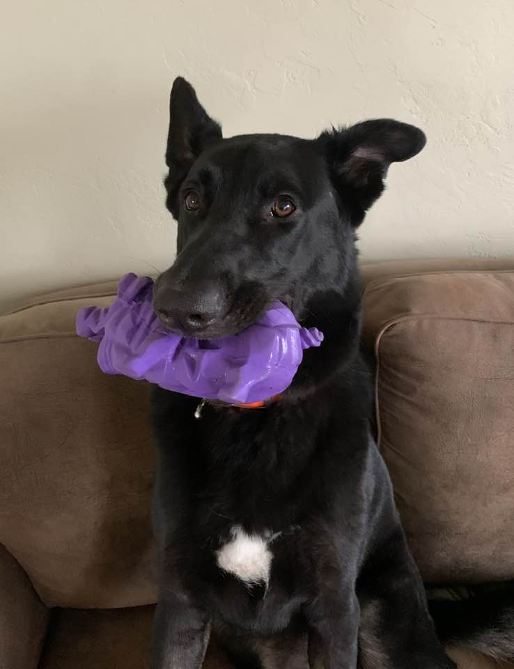 D's Fetchin-It Up Kennel Marinette