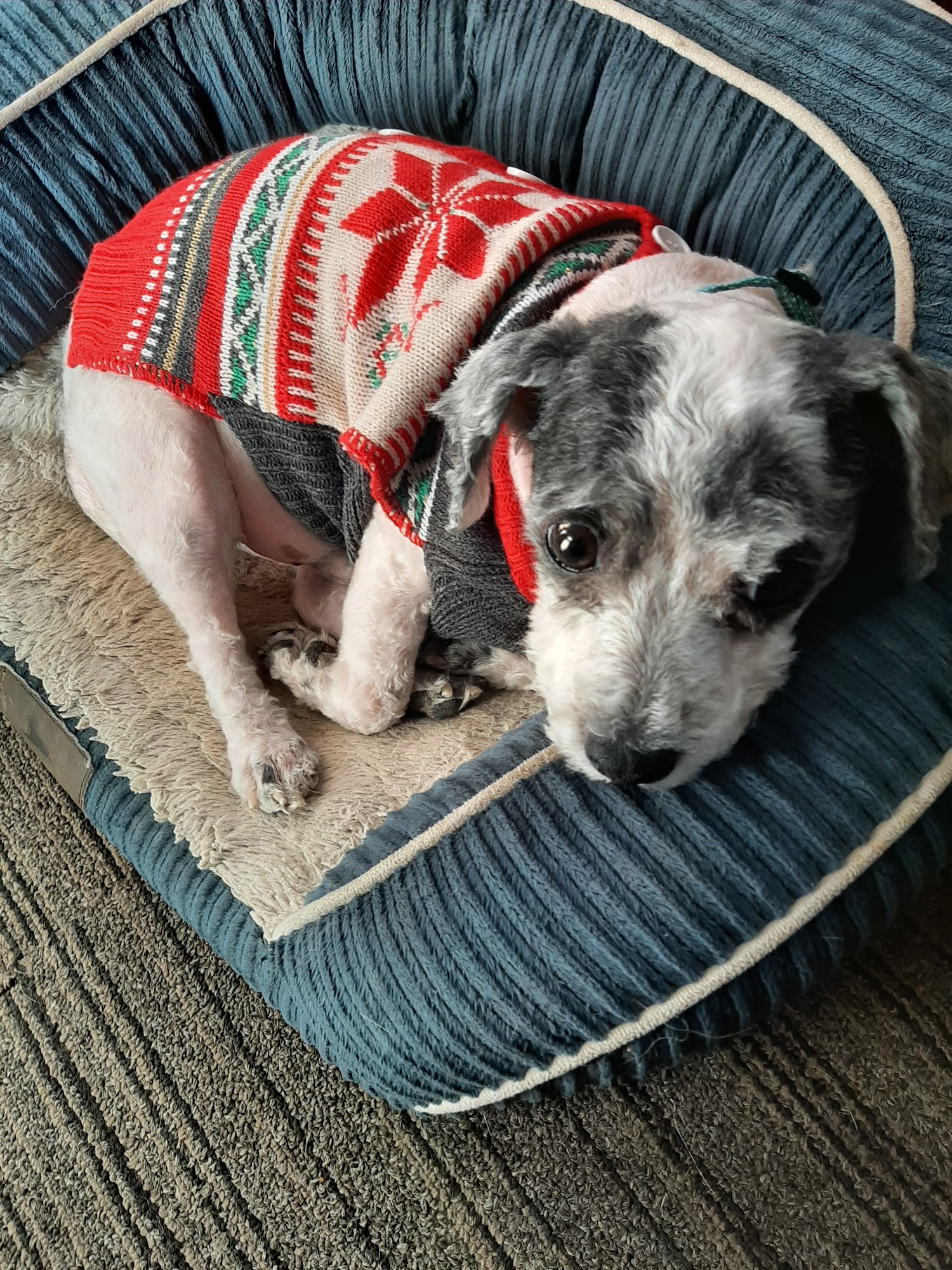 Pet Supplies Plus Marshfield Marshfield