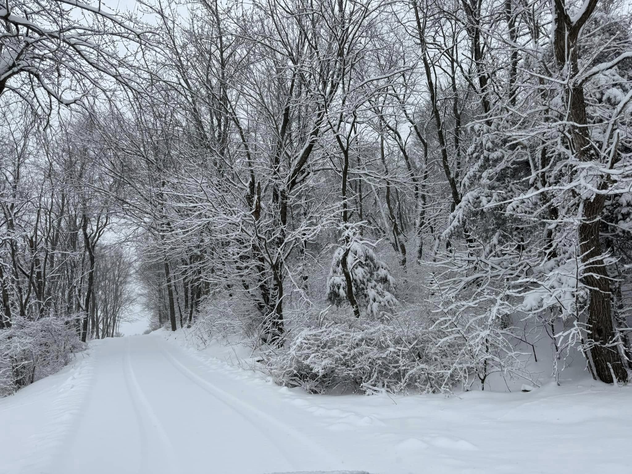 Woodside Ranch, Trading Post Mauston