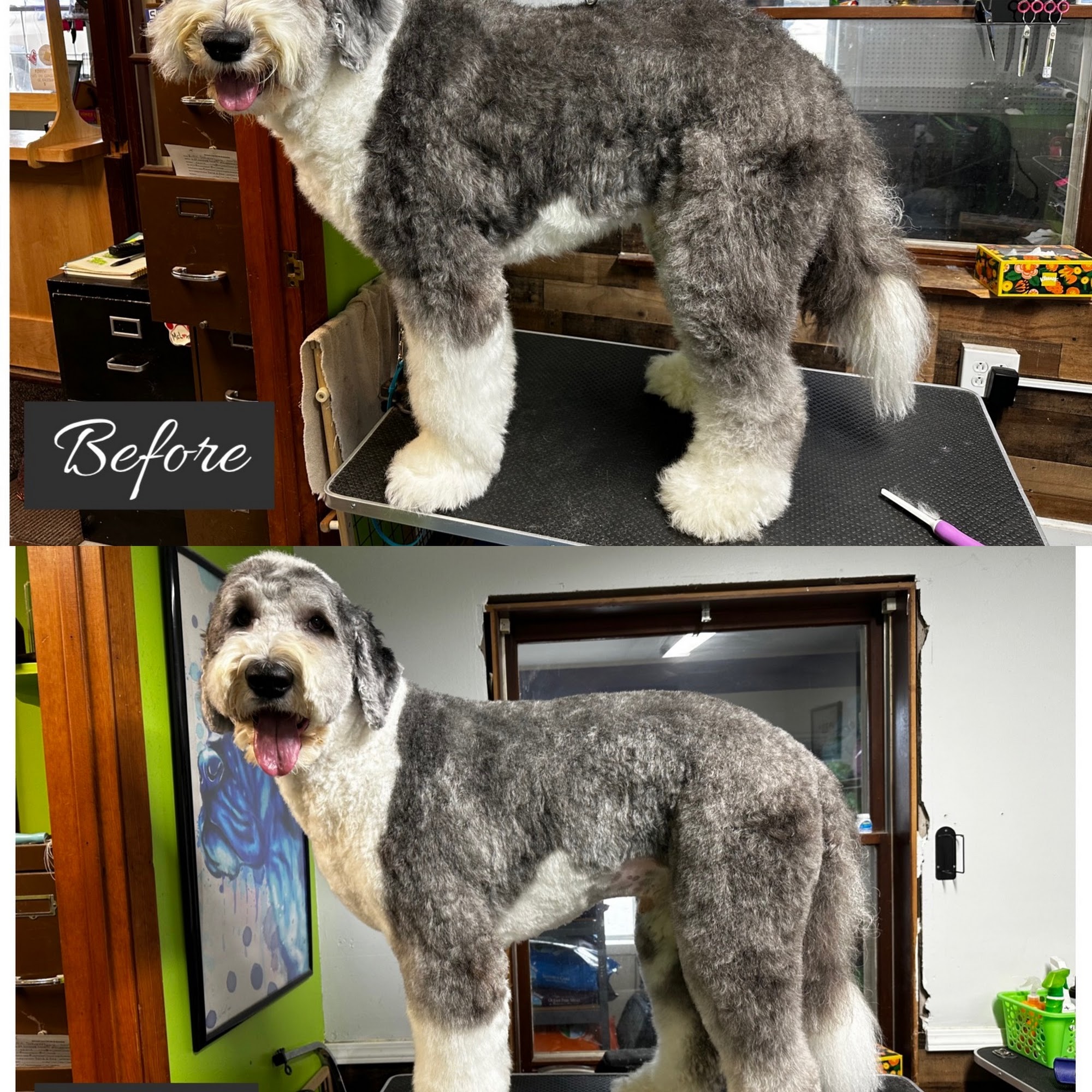 McLovin Your Pet Spa & Boarding Menasha