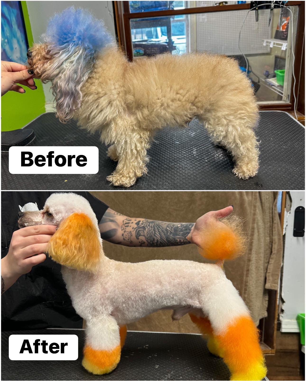 McLovin Your Pet Spa & Boarding Menasha