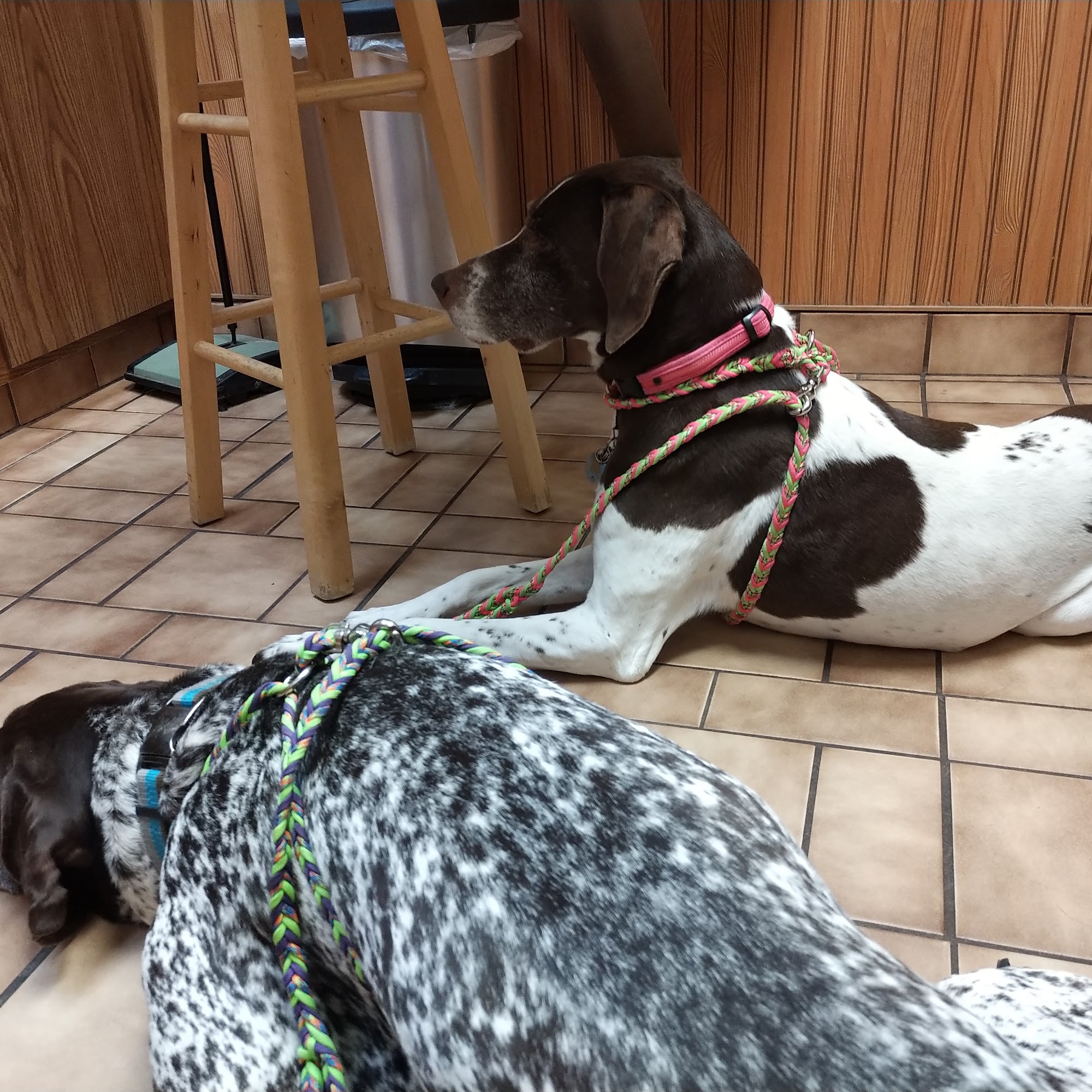 Animal Medical Center Menomonee Falls