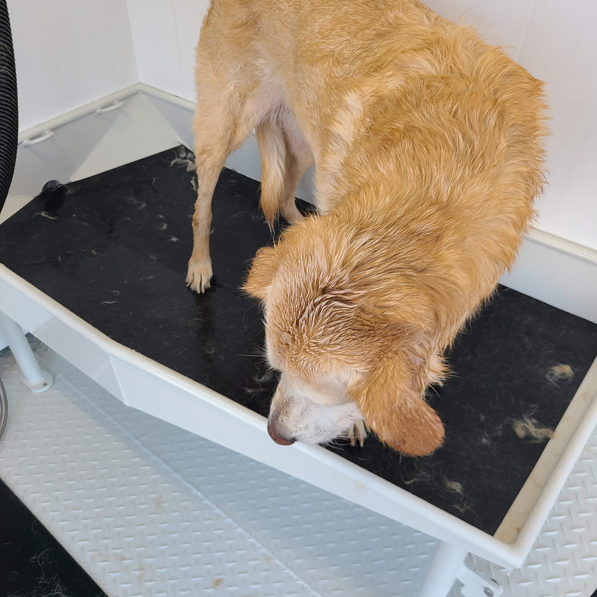 Hoof & Paw Clinic Ltd Menomonie