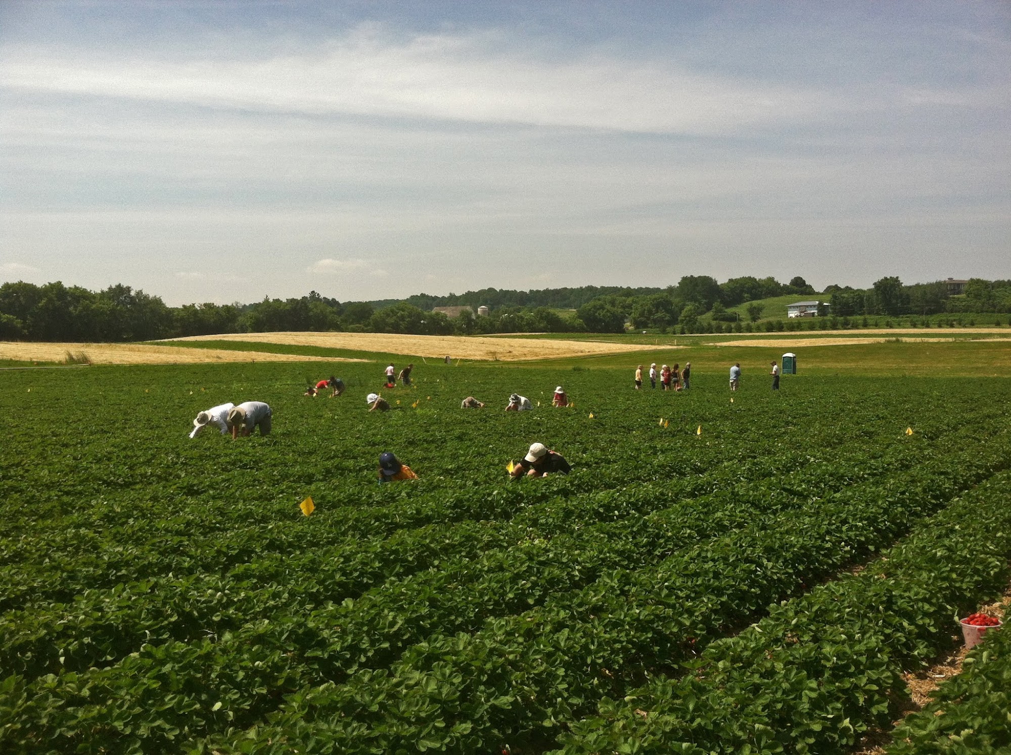 Red Cedar Valley Farms Menomonie