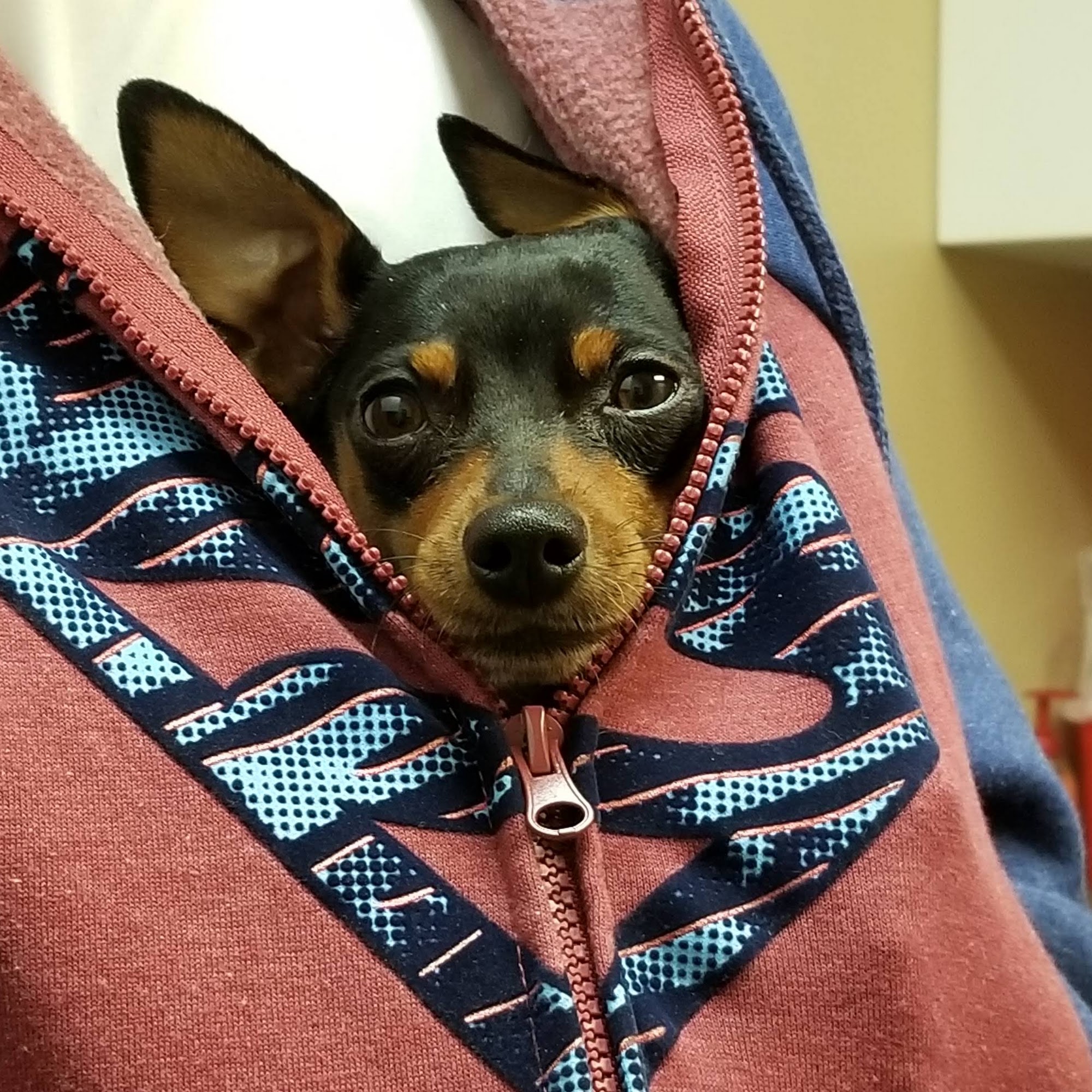 Merrill Veterinary Clinic Merrill