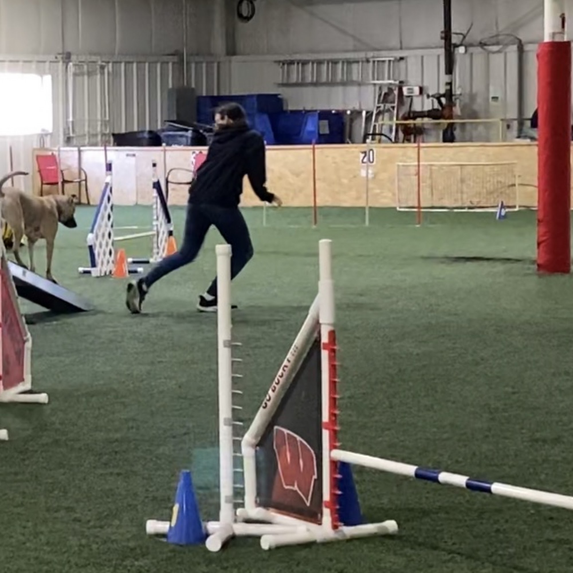 Canine Sports Zone Middleton