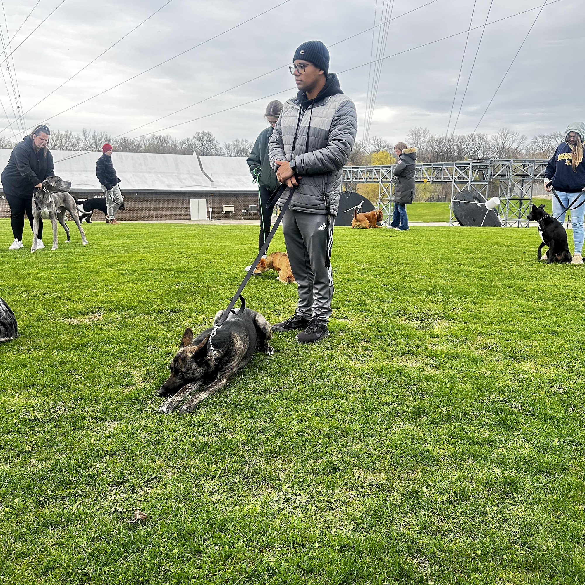 Milwaukee Dog Training Club Milwaukee