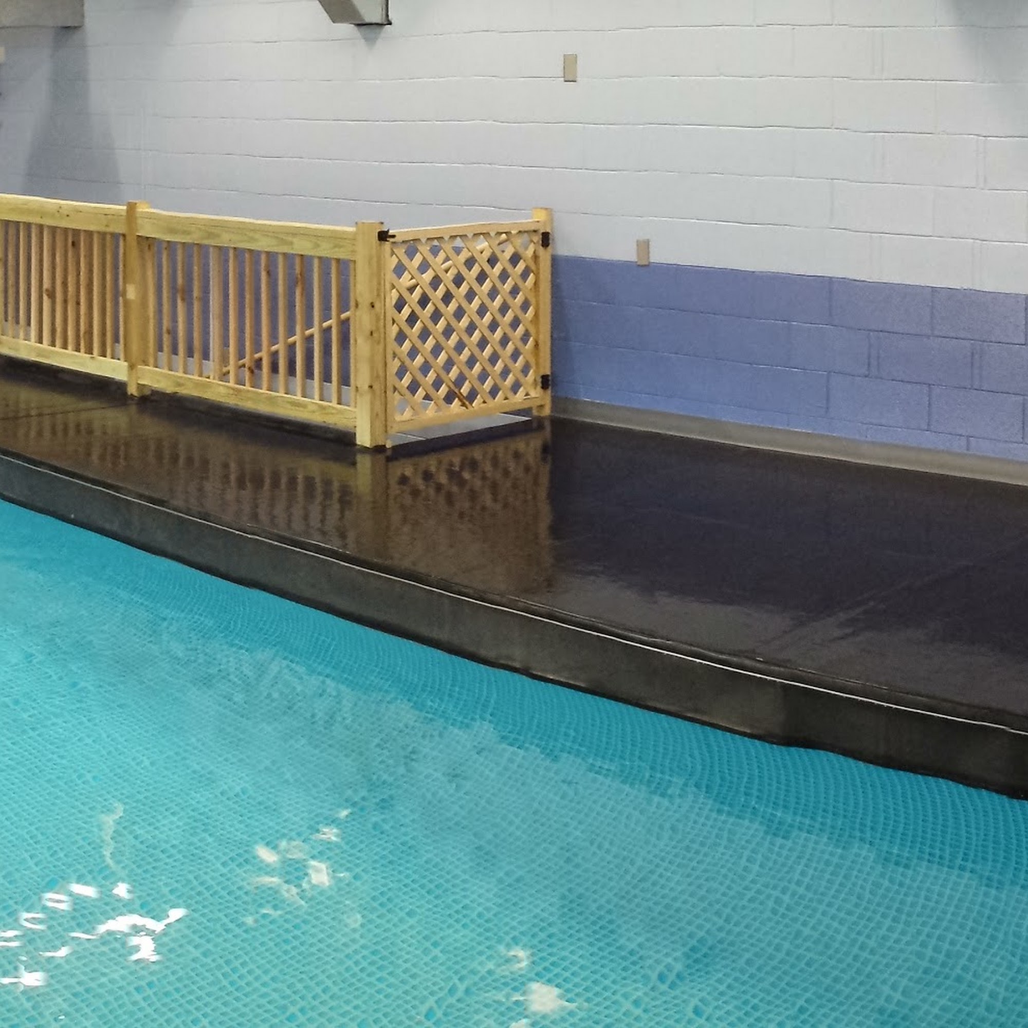 Dog Paddle Milwaukee