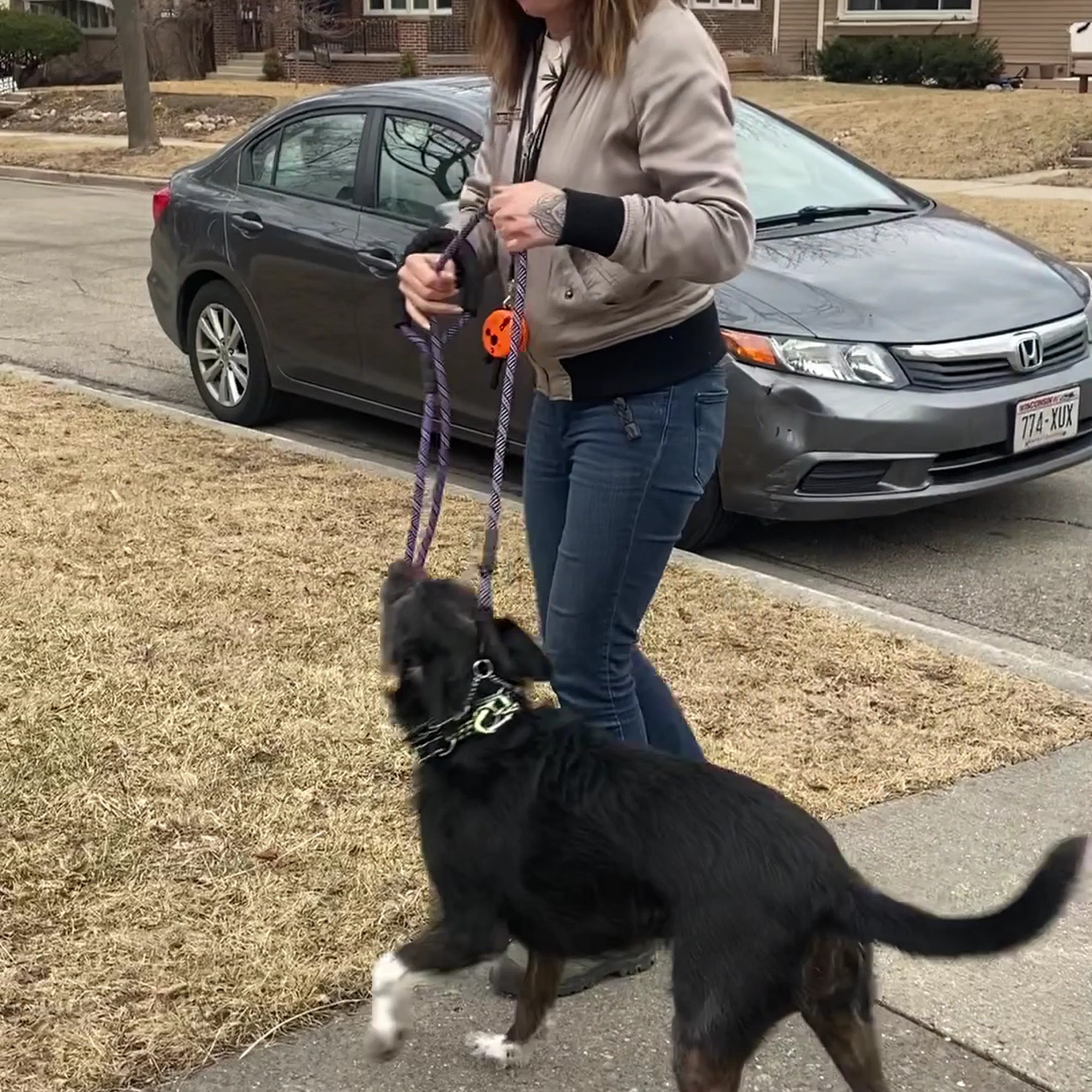 MKE Puppy Pal LLC Milwaukee