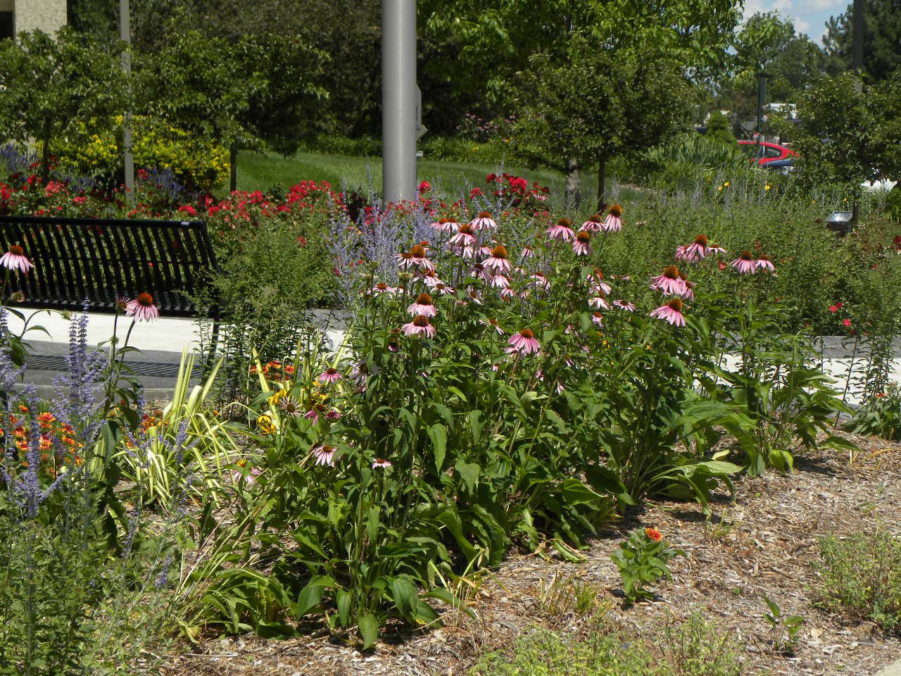 Four Season Landscapes, LLC