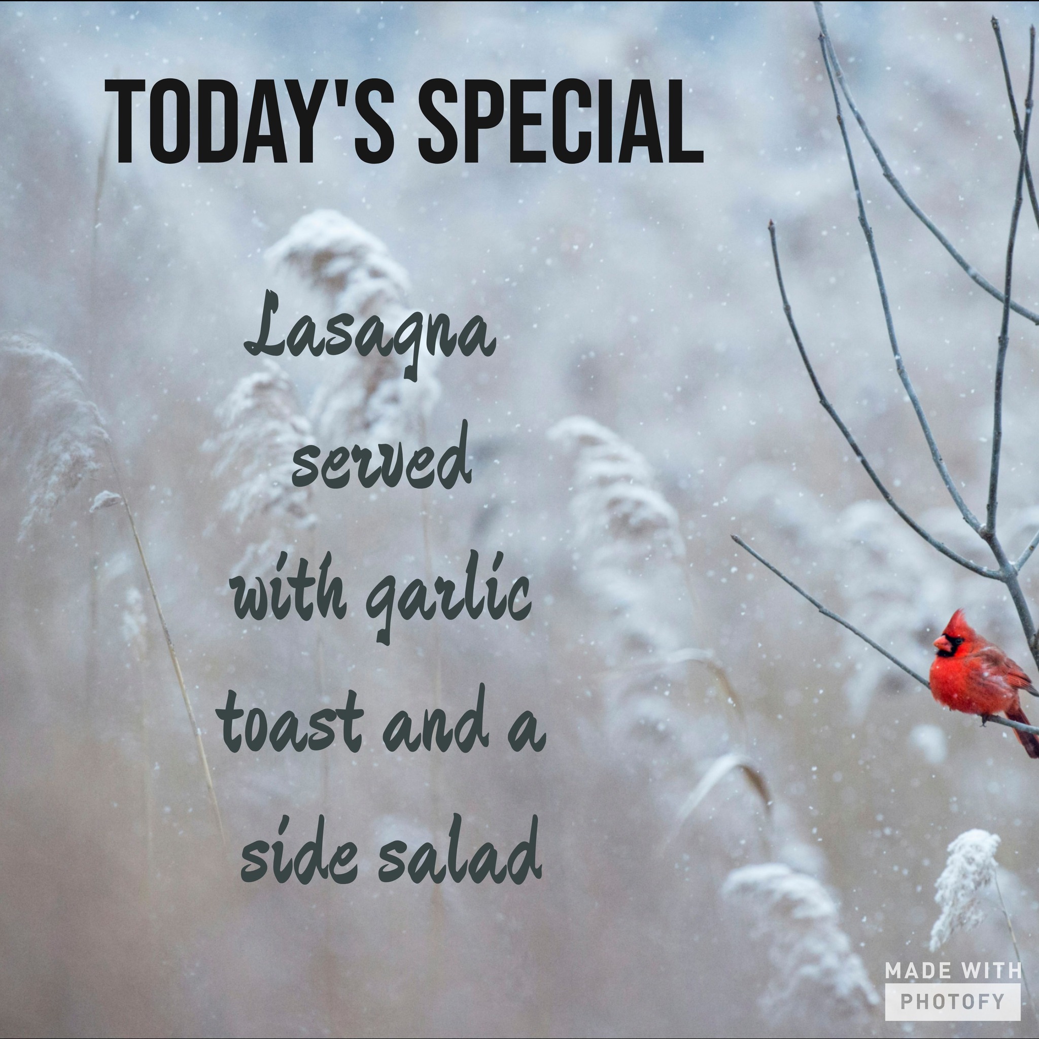 Black Bear Bar & Grill Minocqua