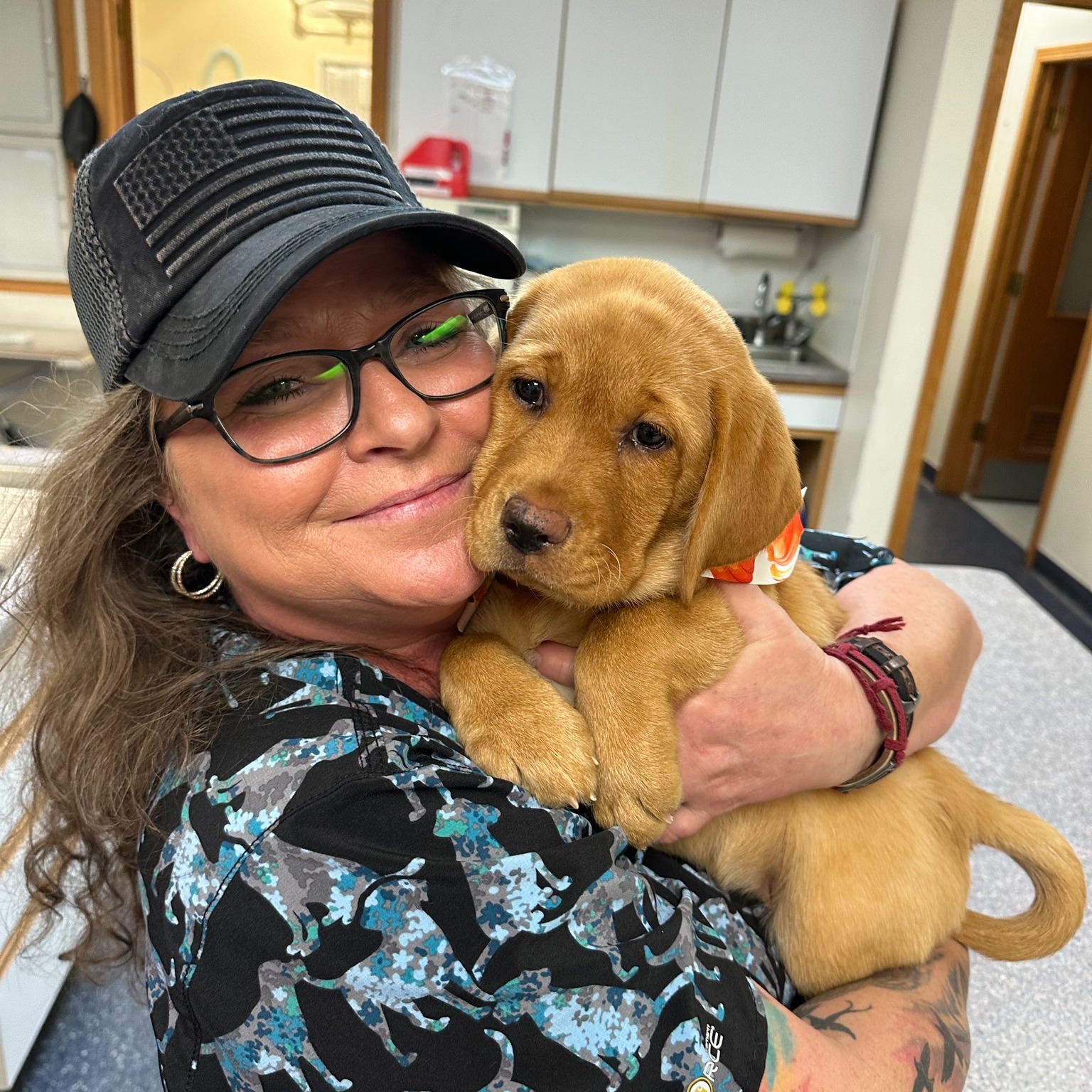 Northwoods Animal Hospital Minocqua