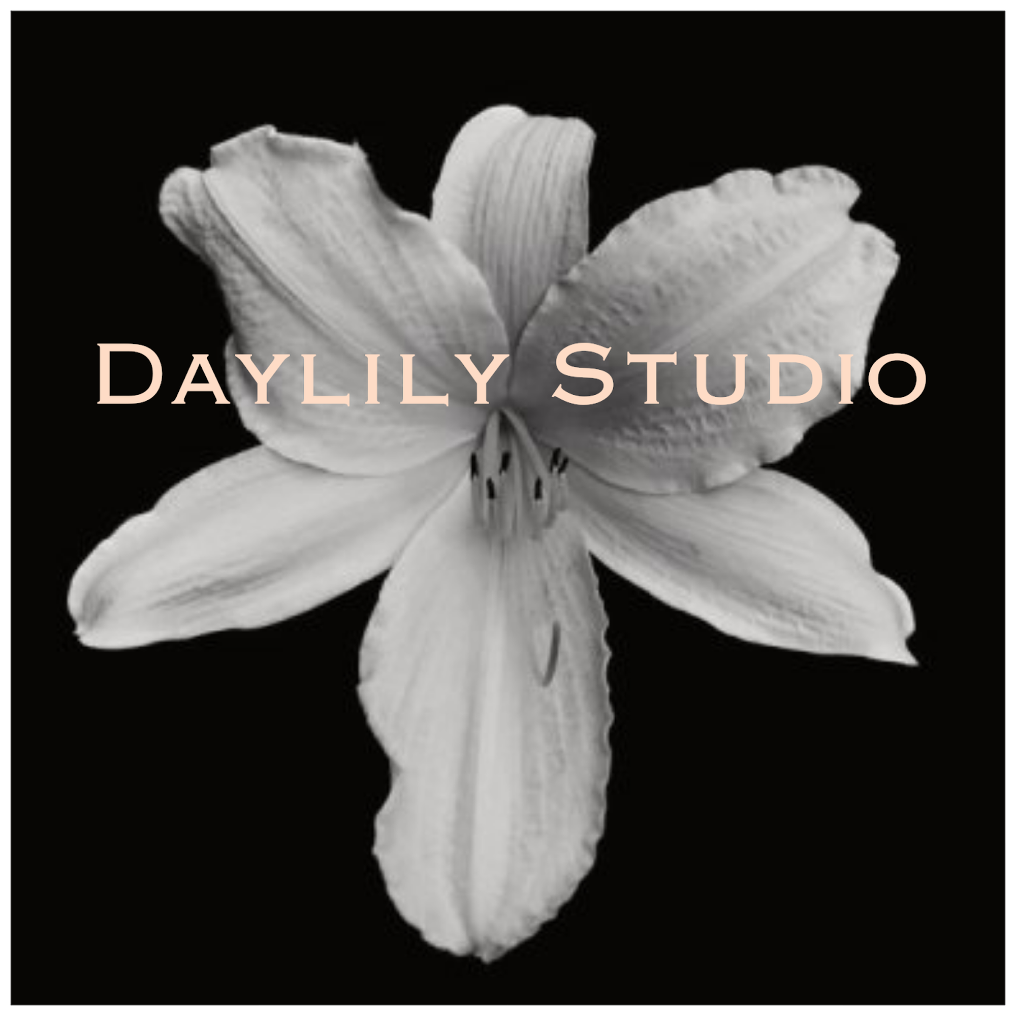 Daylily Studio LLC 5910 Monona Dr Suite 201, Monona Wisconsin 53716