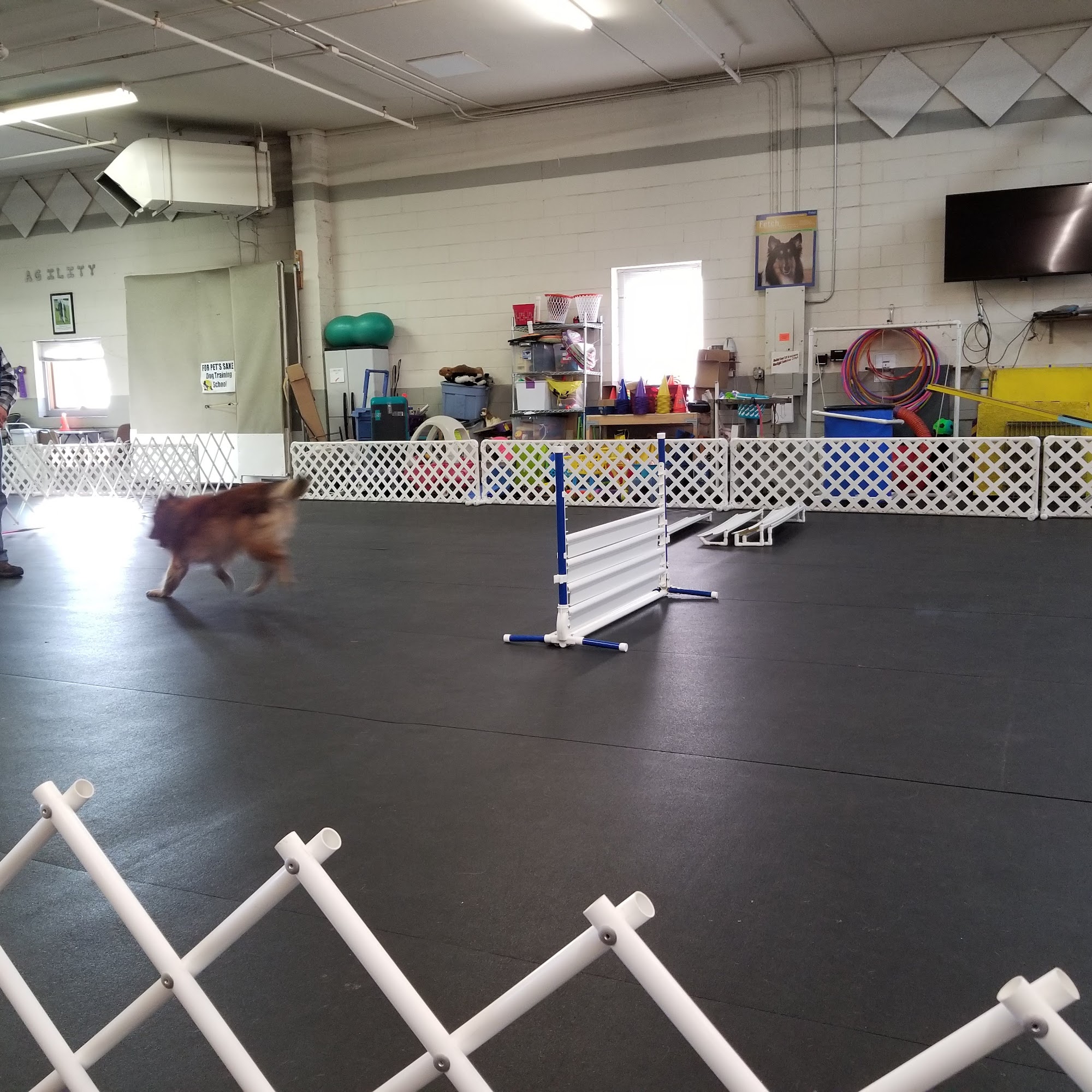 For Pet's Sake Mukwonago