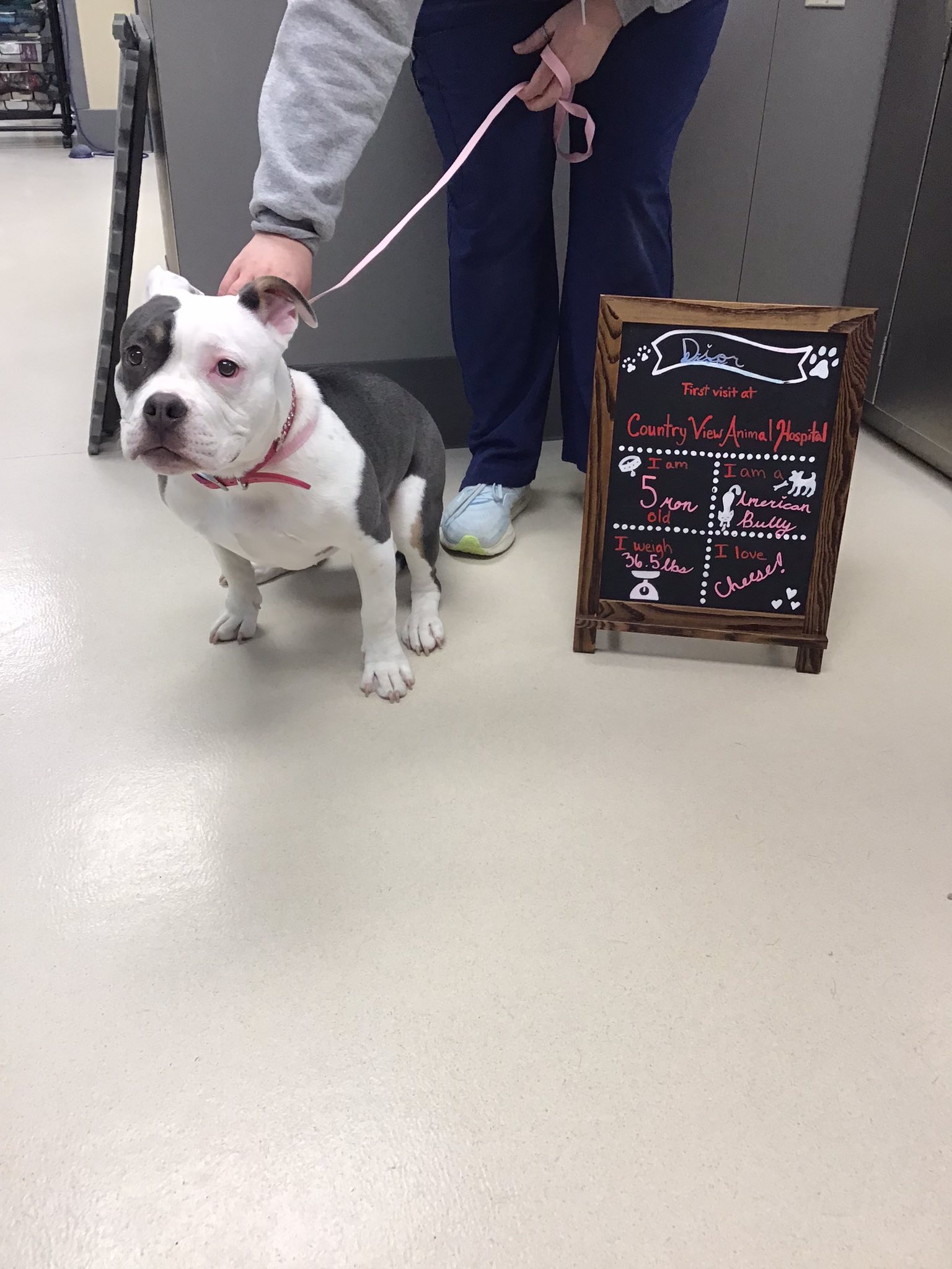 Country View Clippers Neenah